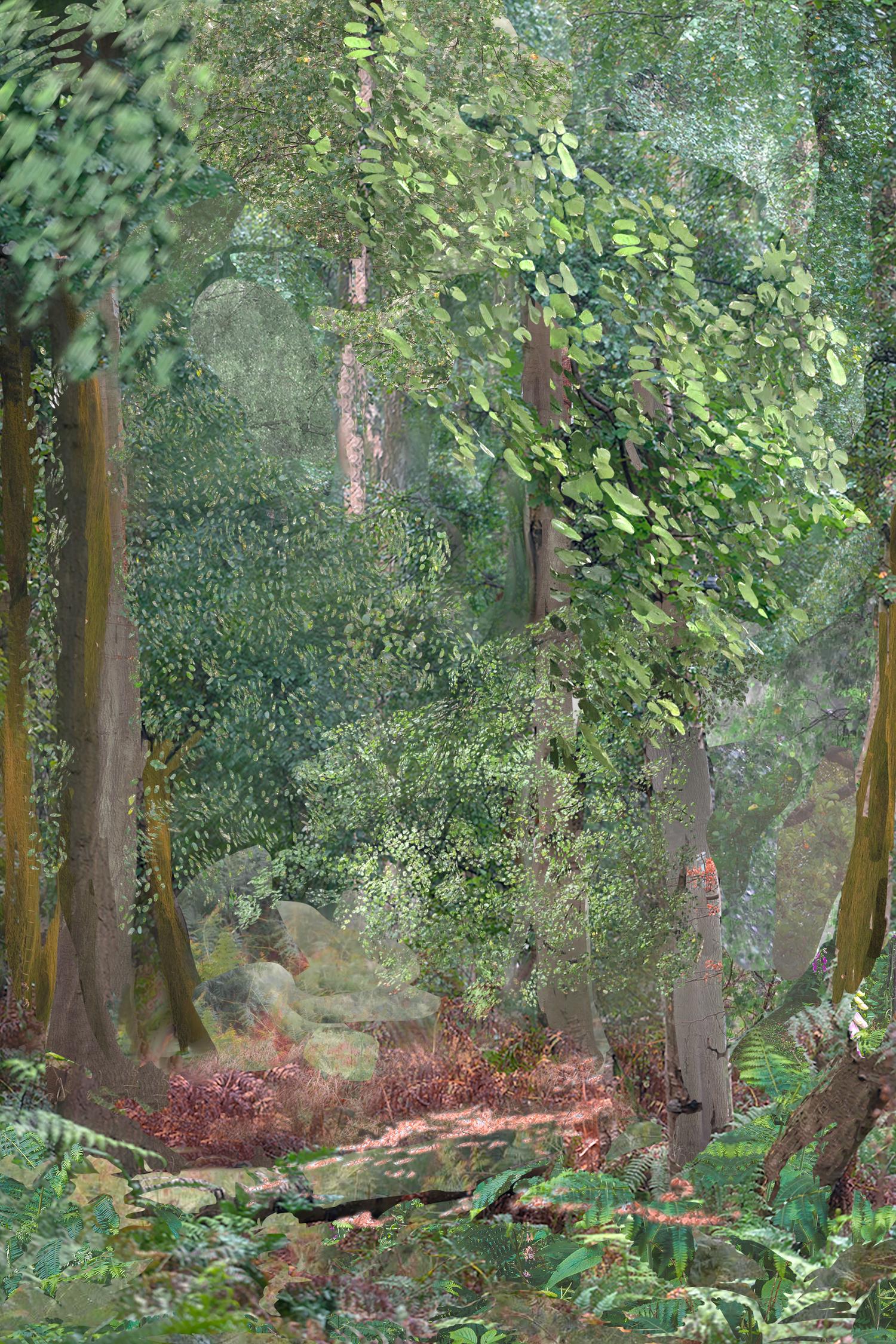 Teresa Giannico, Late summer afternoons n°1 dalla serie YWR/YWR, 2022, stampa su carta cotone, cm 120x80, Ed. Unica