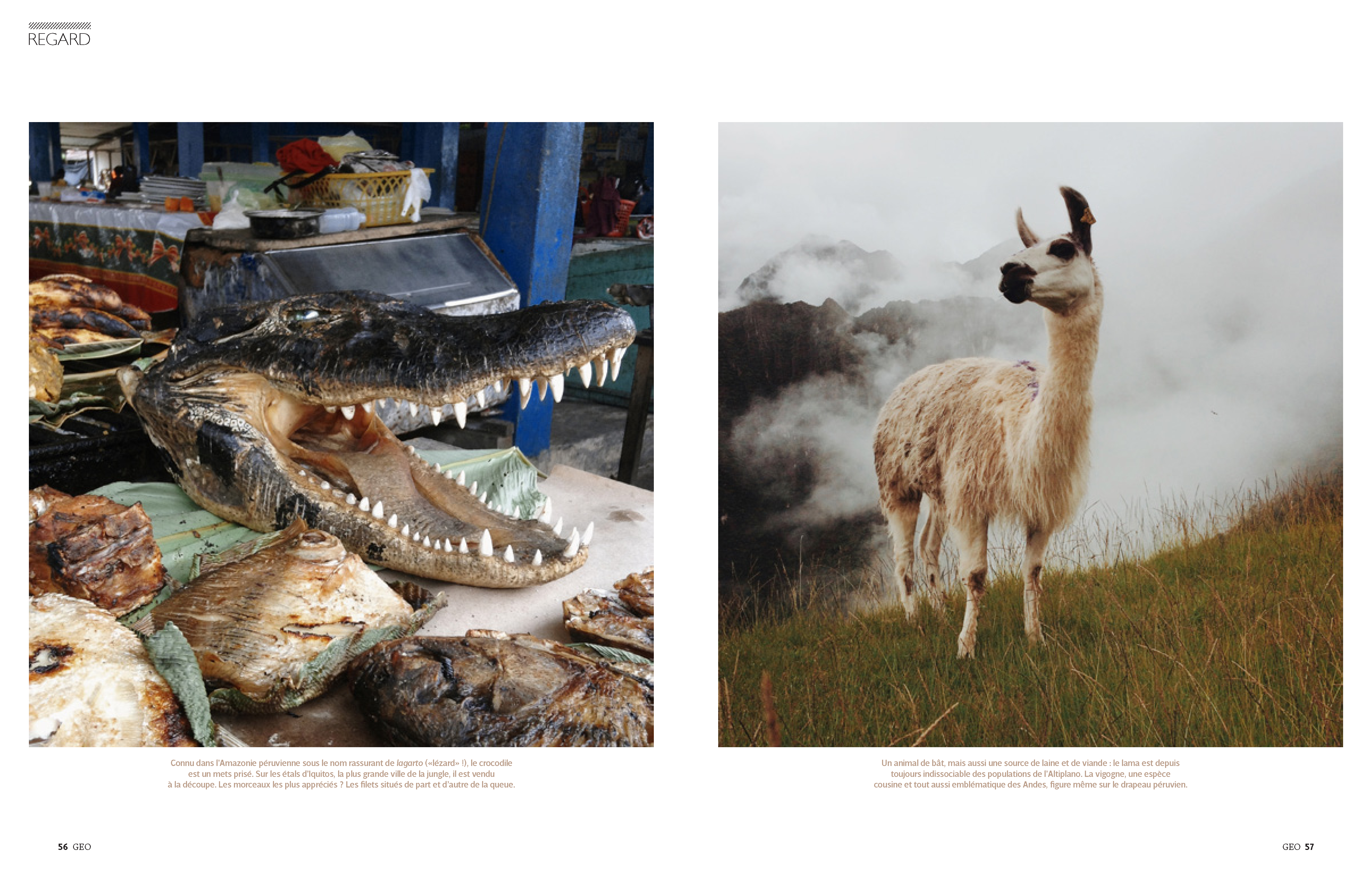 Les Couleurs Du PérouGeo Magazine  Index