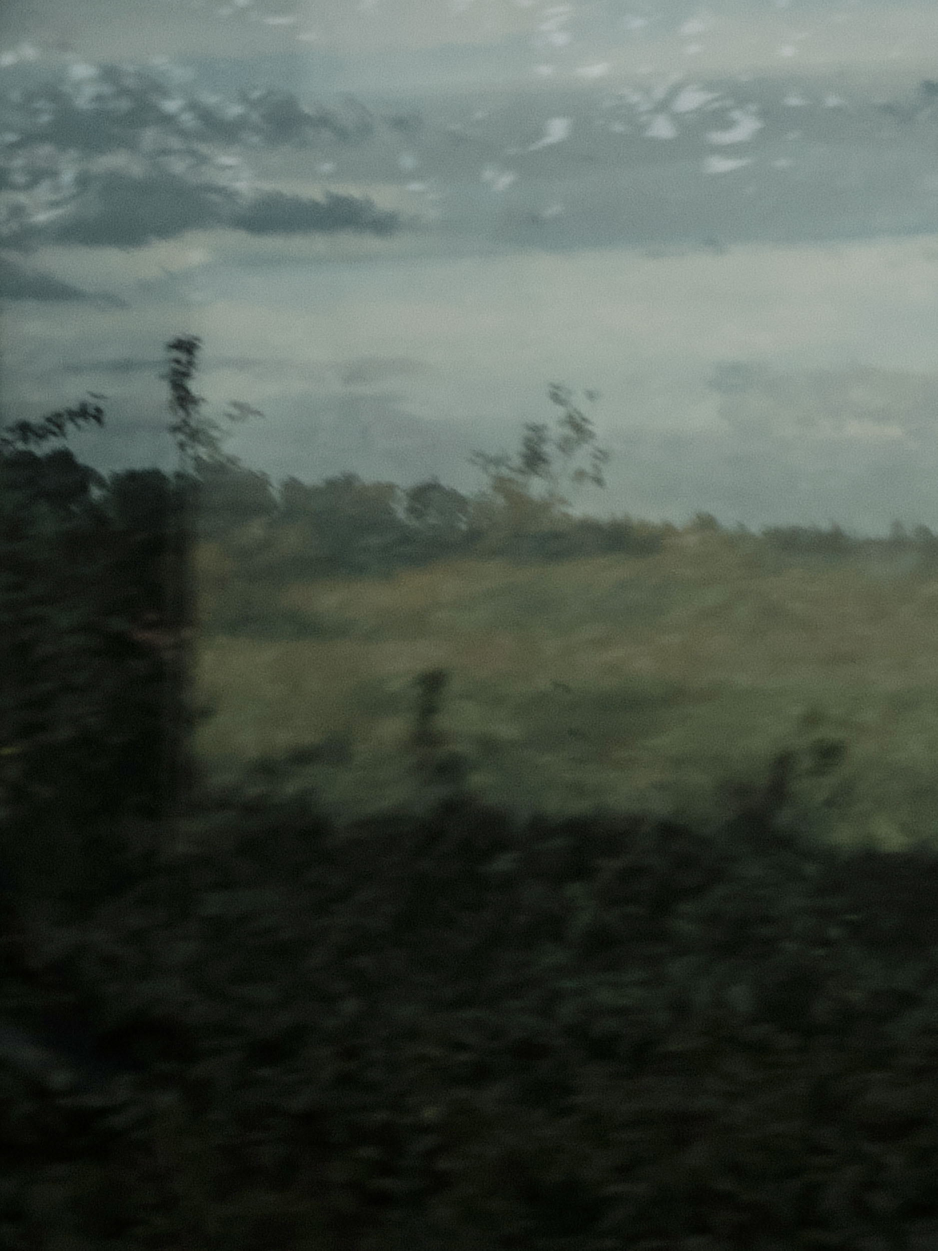 ELYN, Album BORN[E], 2022