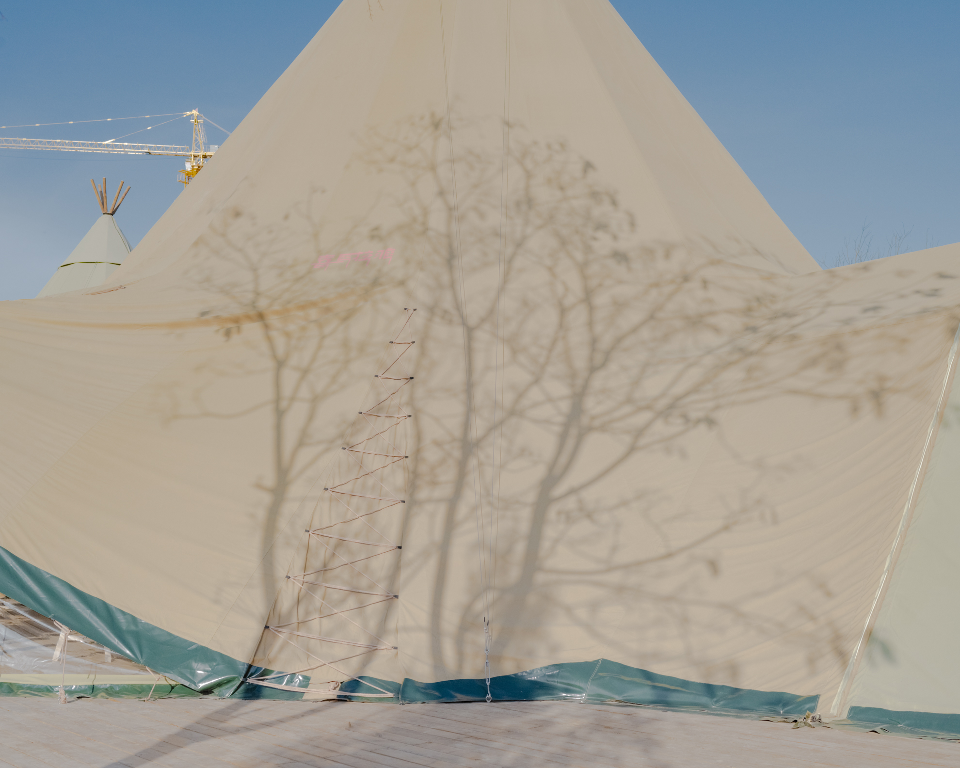 Tree shadow