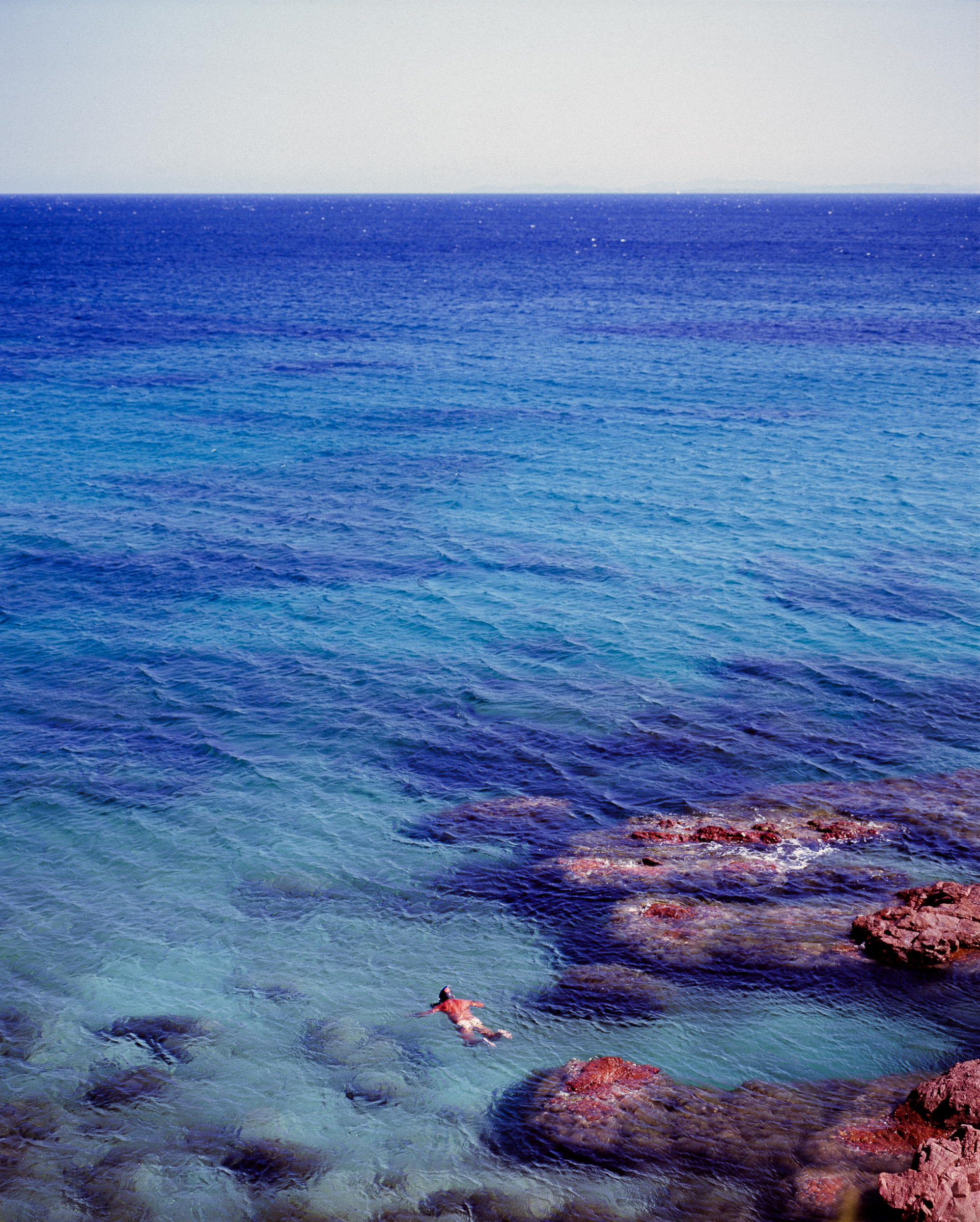 White Butt Blue Ocean