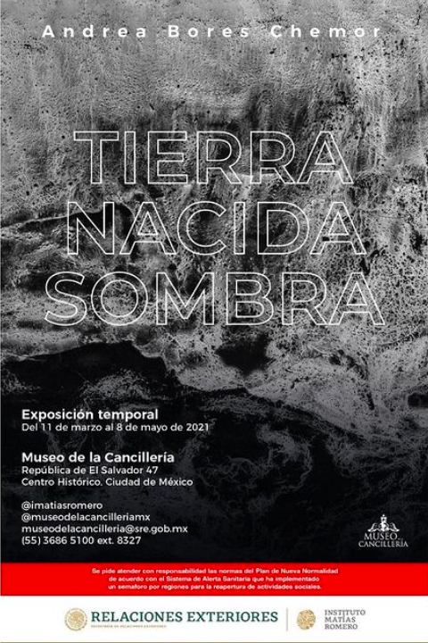 Texto de sala de la exposición Tierra Nacida Sombra de Andrea Bores
