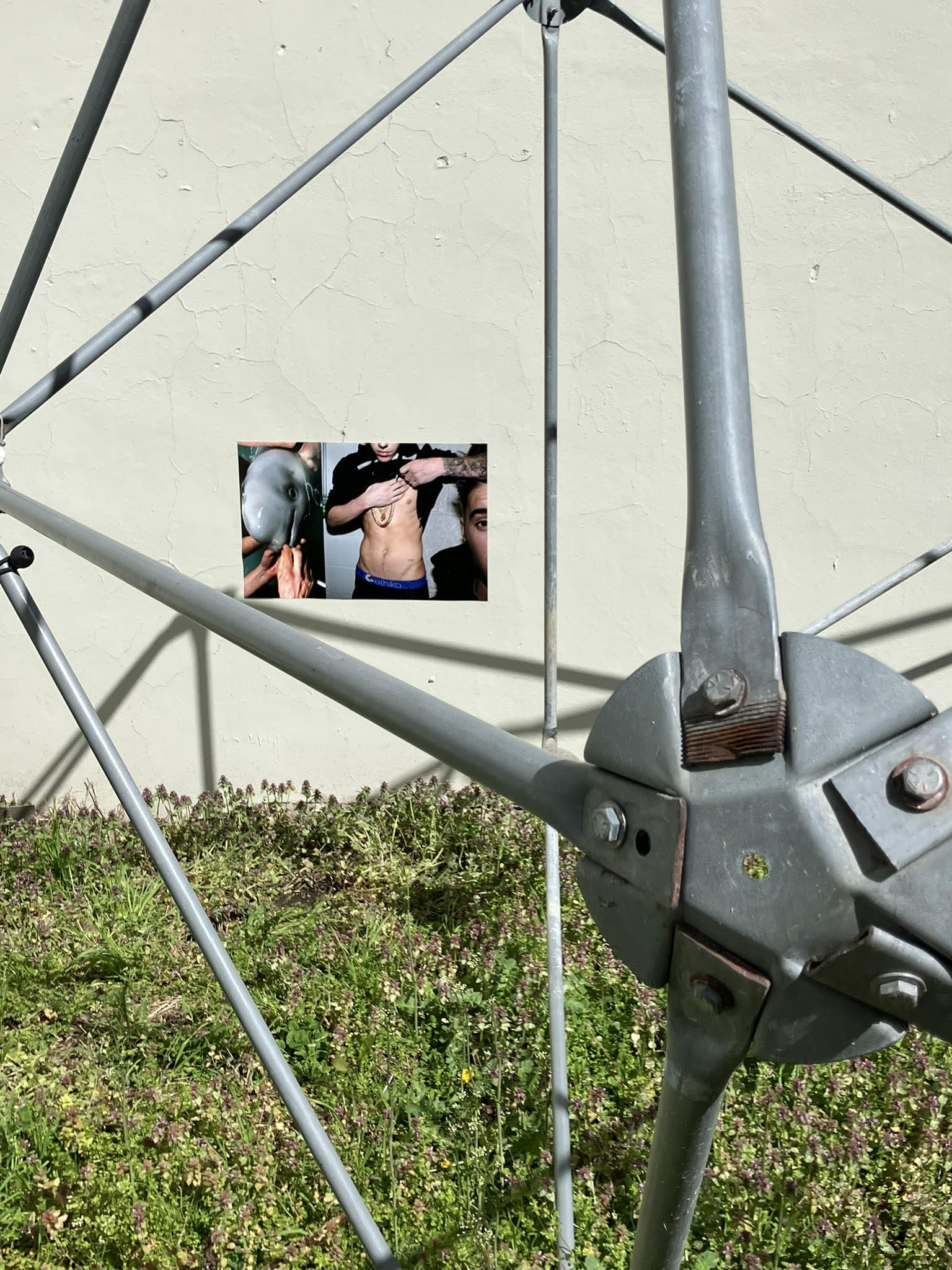Andrew Glass, 2024. This archive work features two images: one taken of Justin Bieber around the time of his arrest in Miami in January 2014, and the other portraying humans handling a baby beluga.