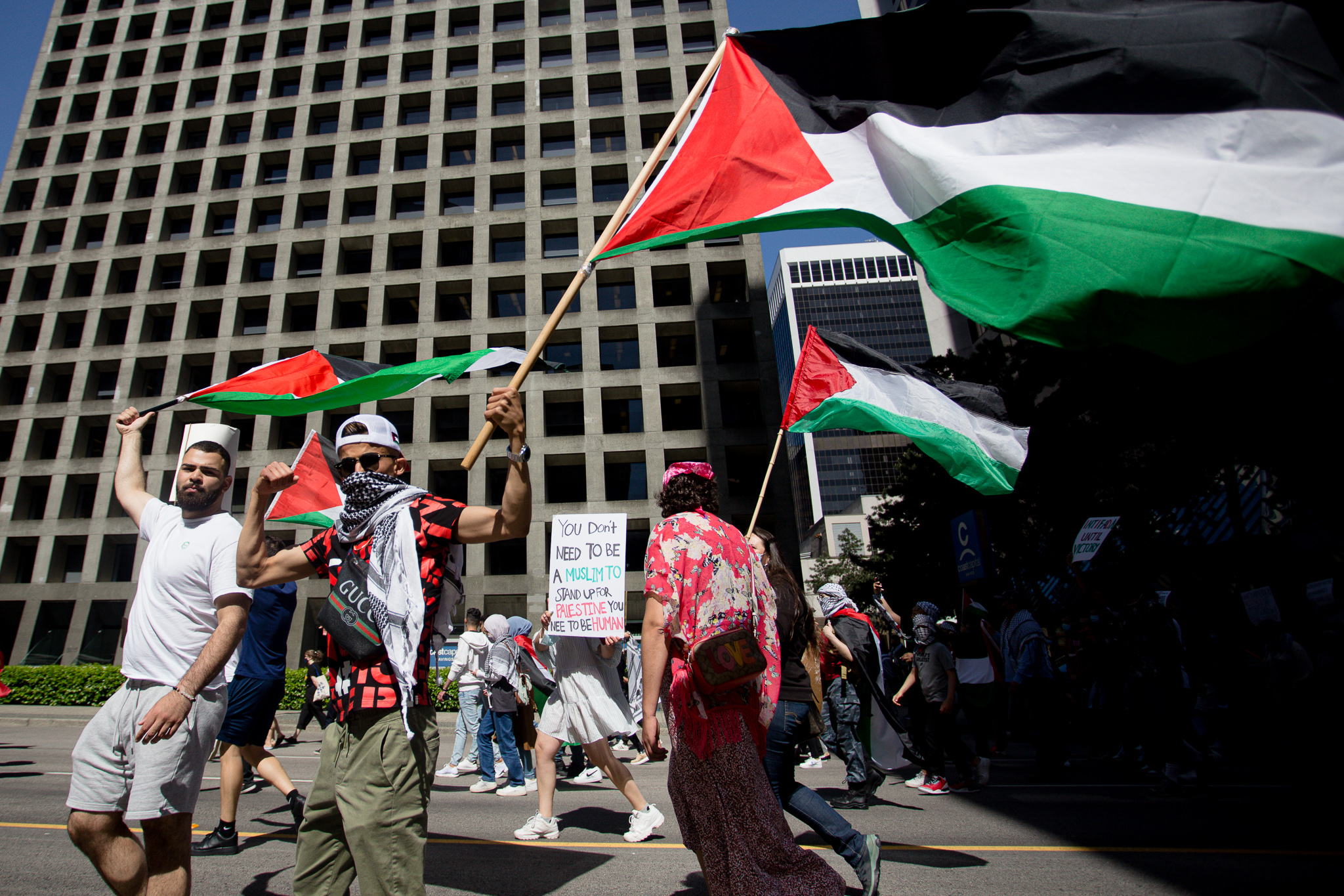 Pro-Palestine Rally — Ryan Walter Wagner