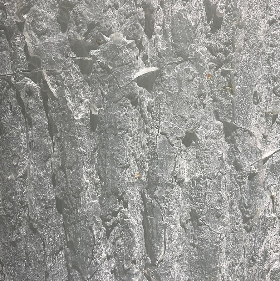 Kde stromy rostou z nebe? Na Kampě!