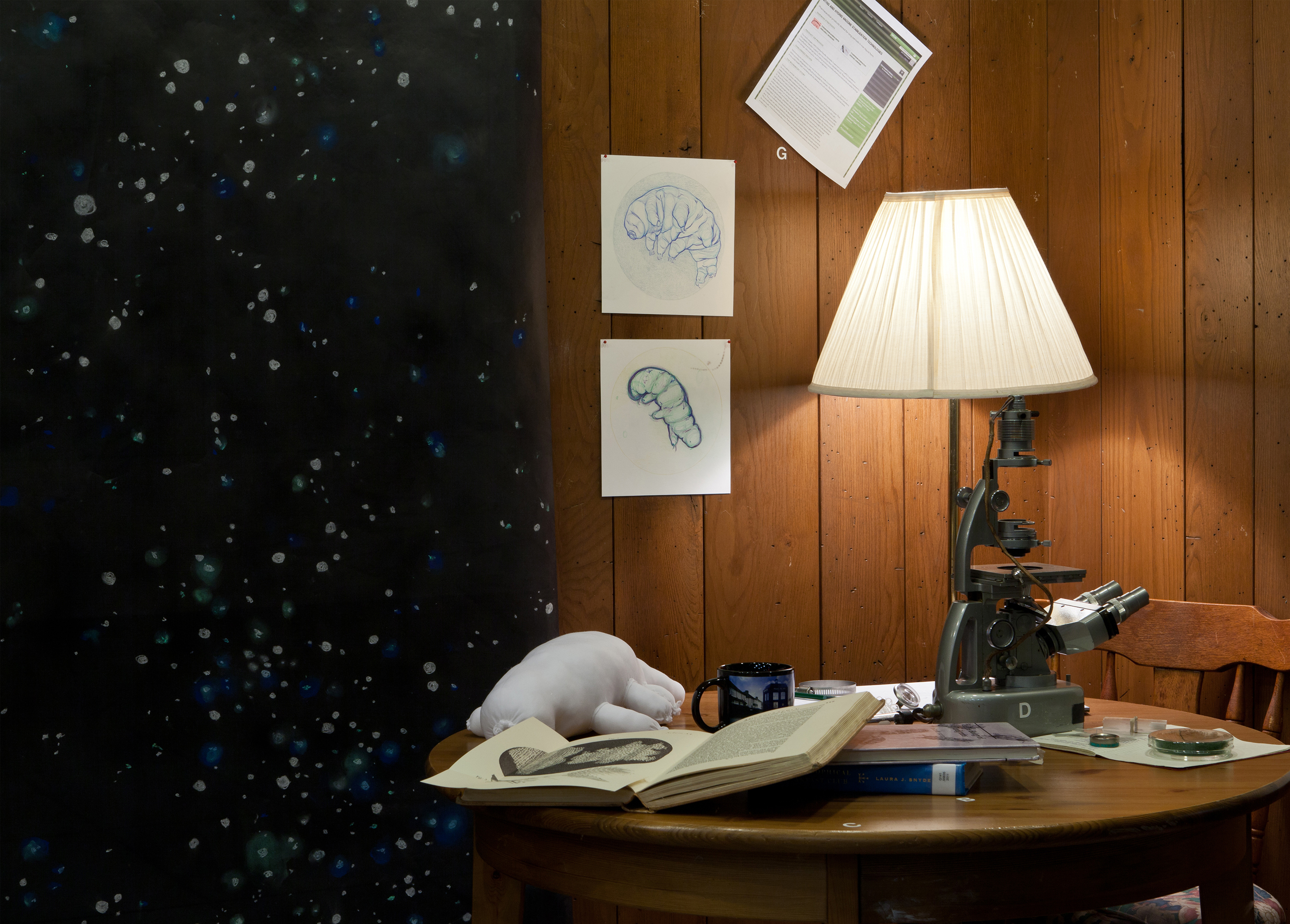 "Habitat Group: Dining Room of an Amateur Scientist" (detail) Microscope, petri dish, glass vials, moss, pencil sketches, hand-sewn stuffed water bear, Dr. Who TARDIS mug, gold mylar disc, carpet, furniture, descriptive text placards, article printouts, books, chalk drawing of stars on paper
