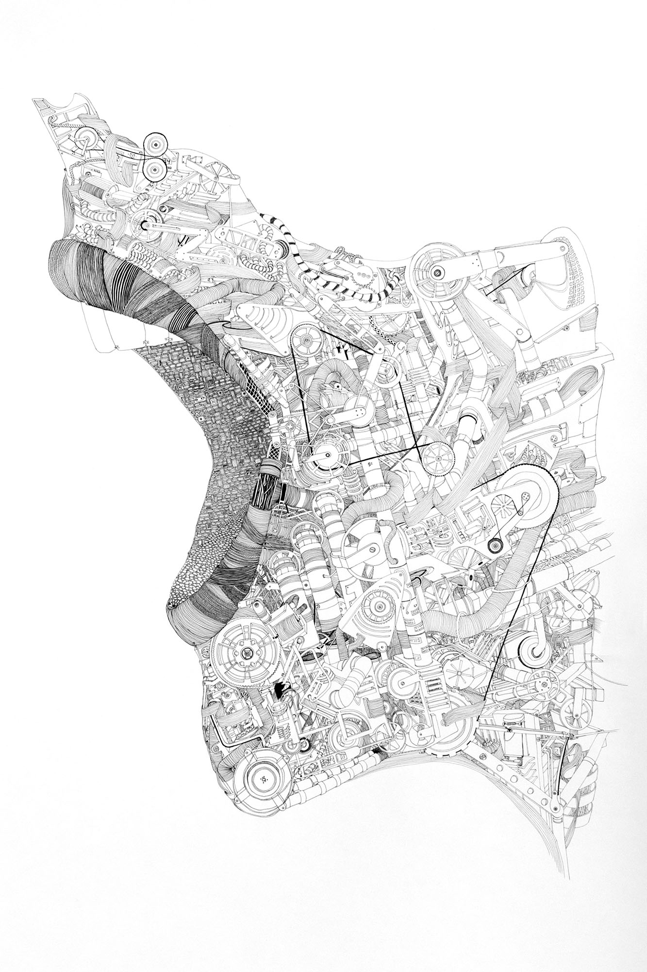 os, 2012, Fineliner auf Papier, 147x105cm