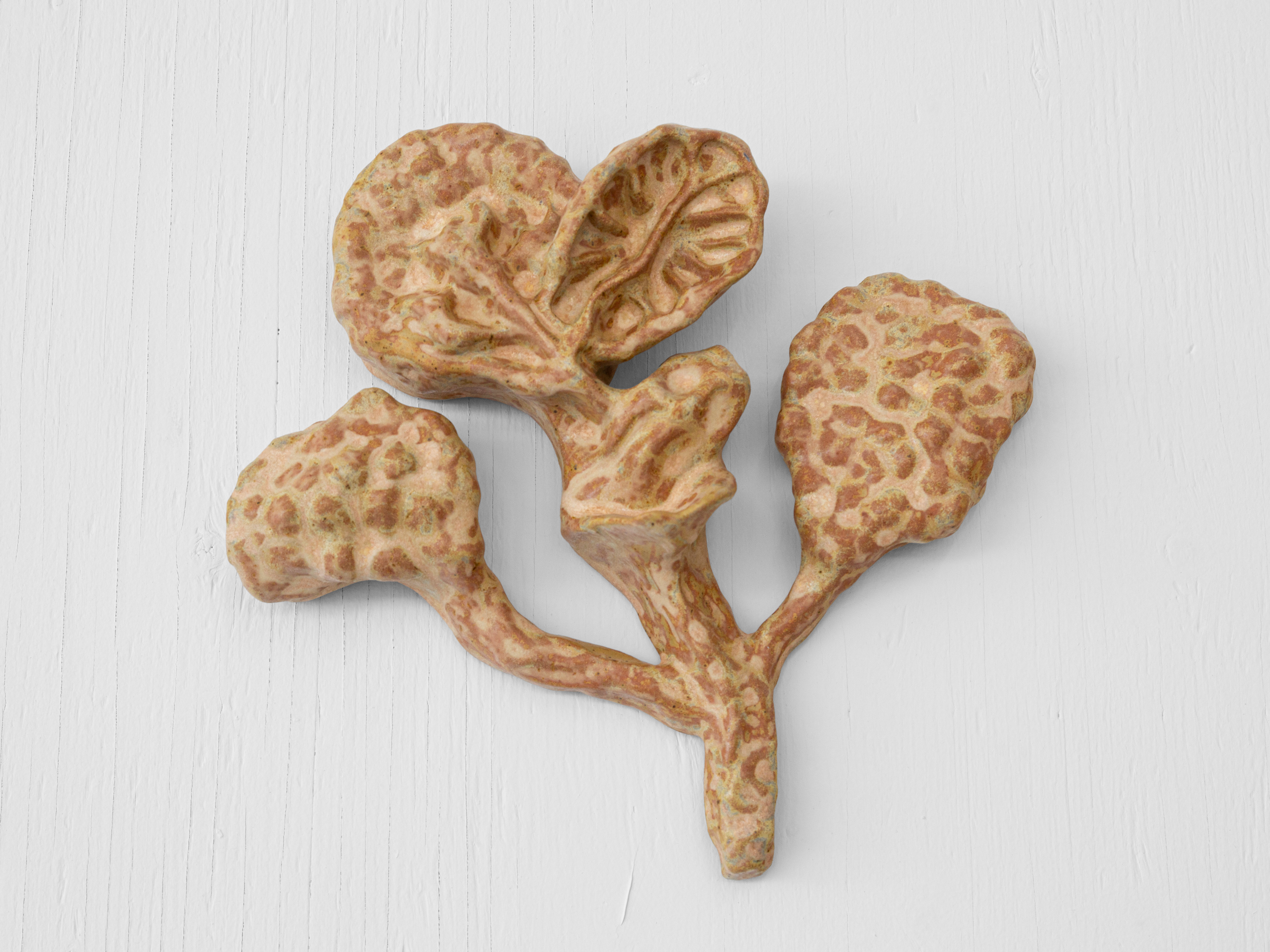 Alveolar Branching, Stoneware & Glaze, 2024