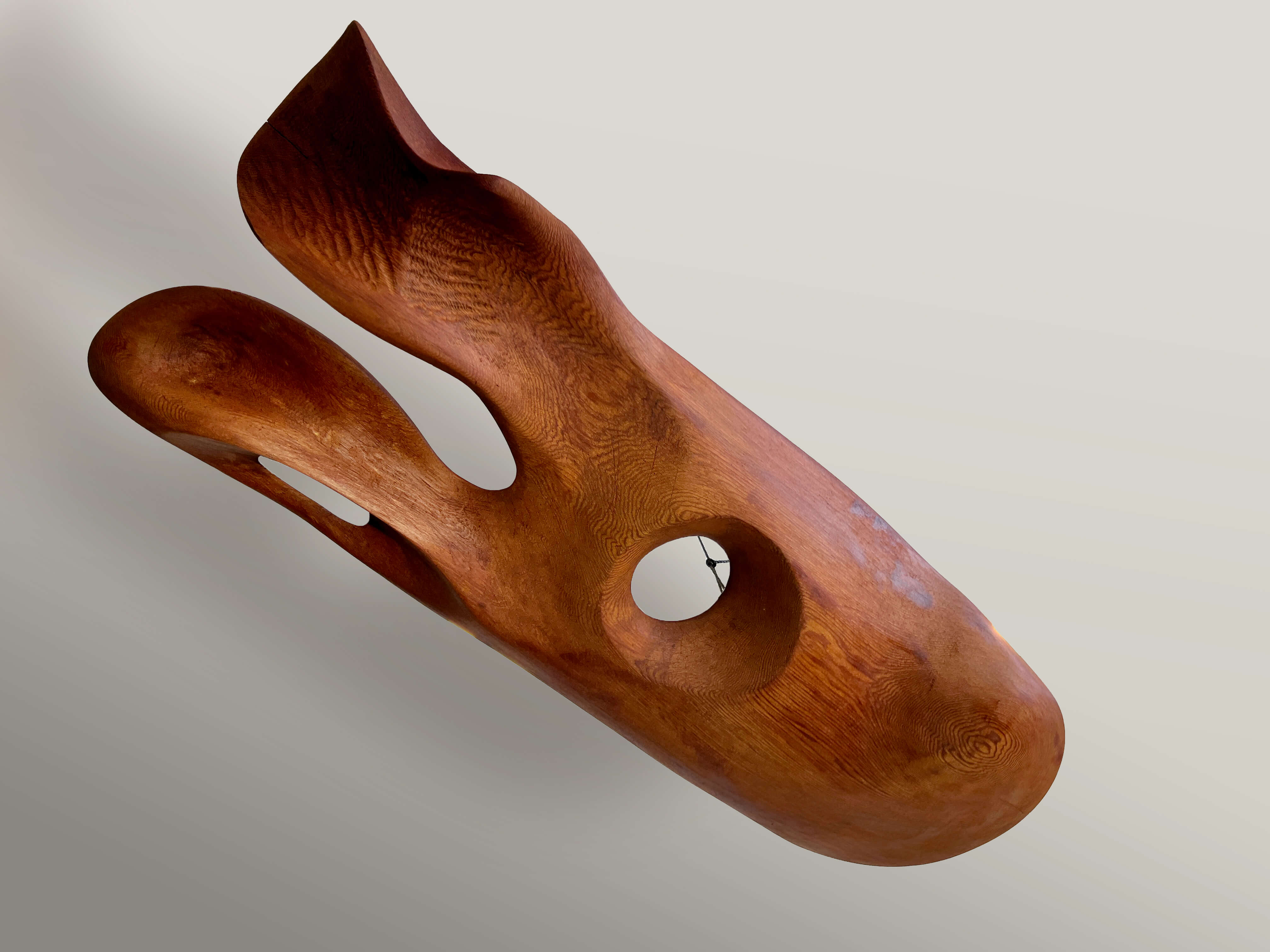 Totems - Perf (Suspended). 2011