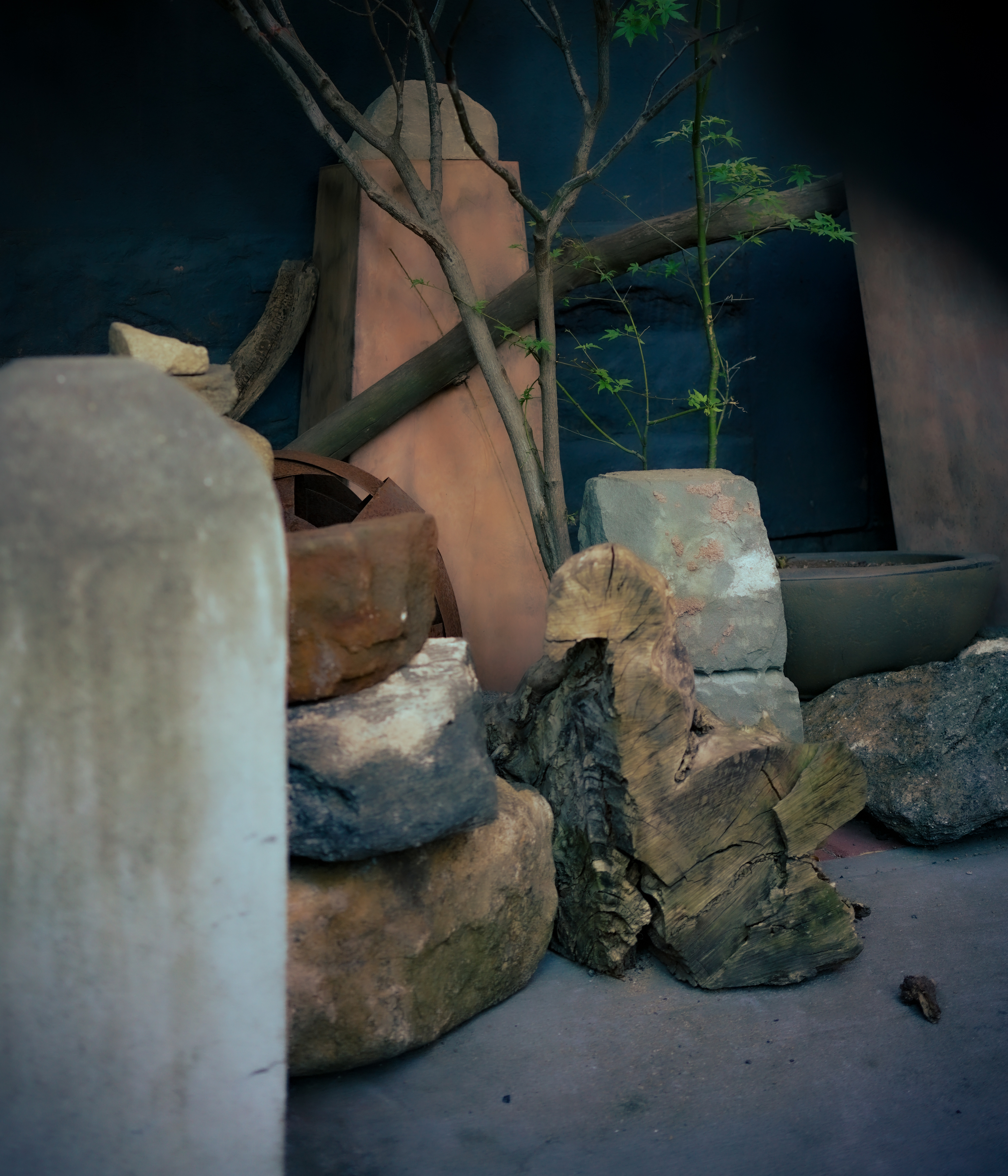 Gardens of Bedford-Stuyvesant, Brooklyn