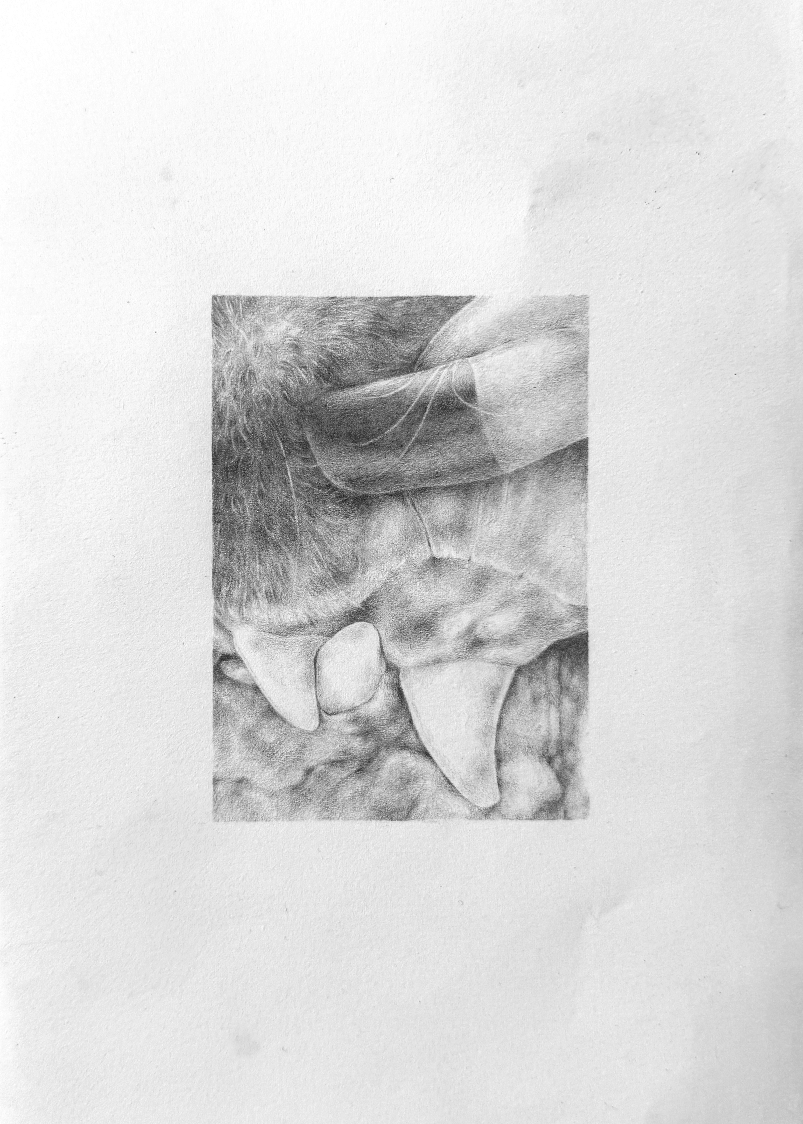 August 2025 (2025), pencil on paper, 2.5x3.5"