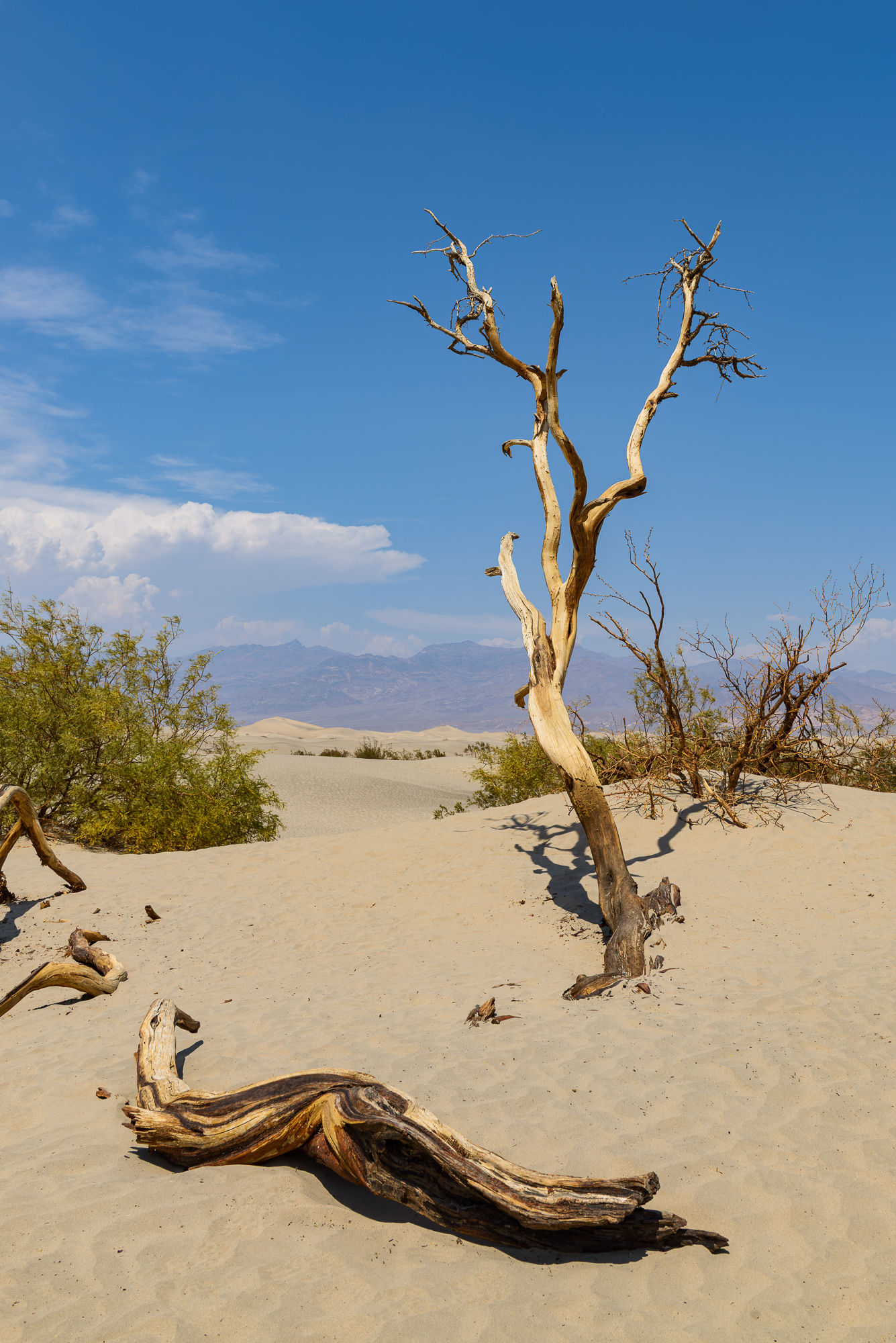 La vallée de la Mort (Death Valley) dans désert des Mojaves en Californie.Badwater, est à −85,5 mètres sous le niveau de la mer. Température relevée à Furnace 56,7°. Il faisait 52° ce jour là.