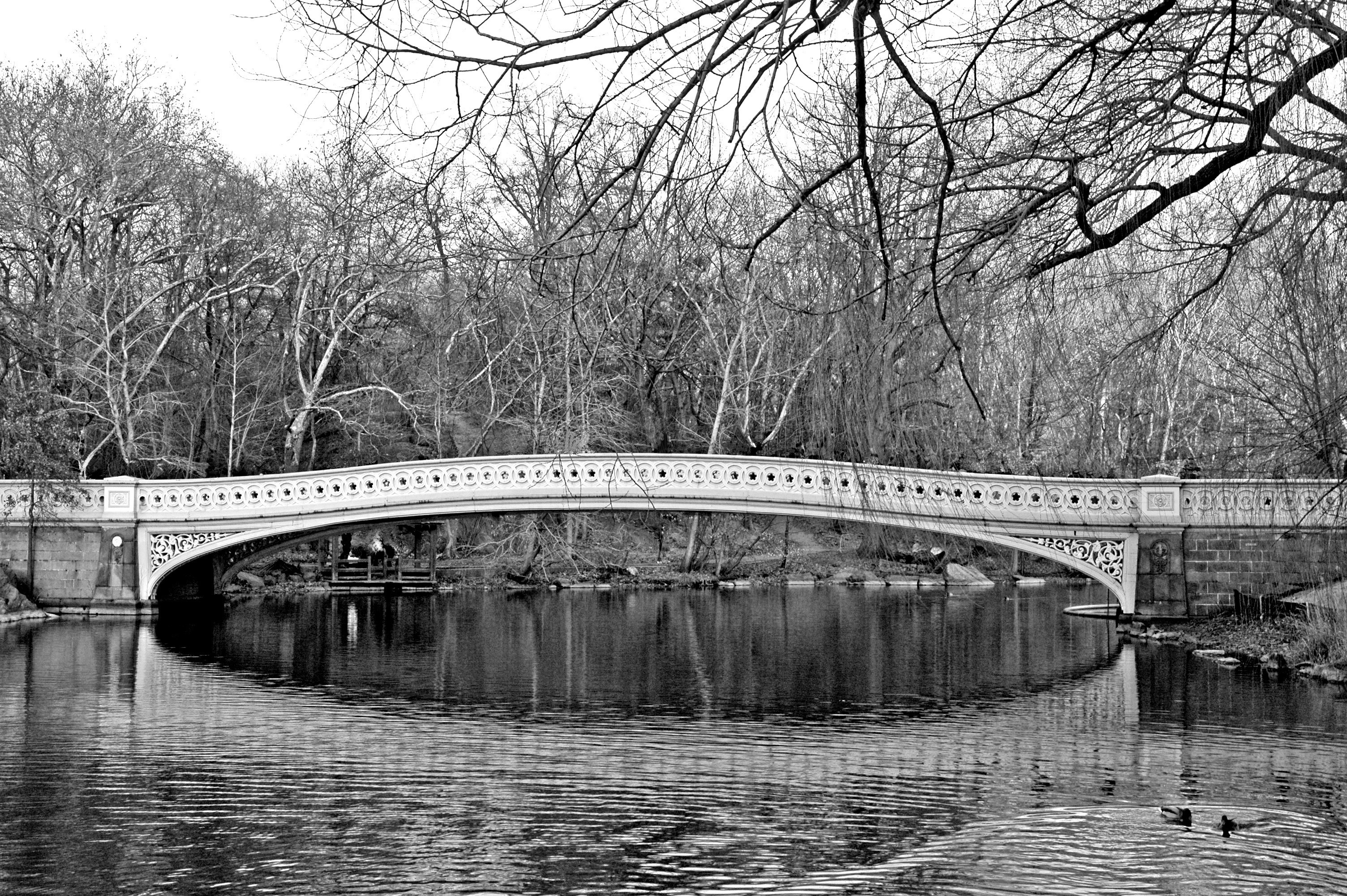 Central Park BUY THIS PRINT