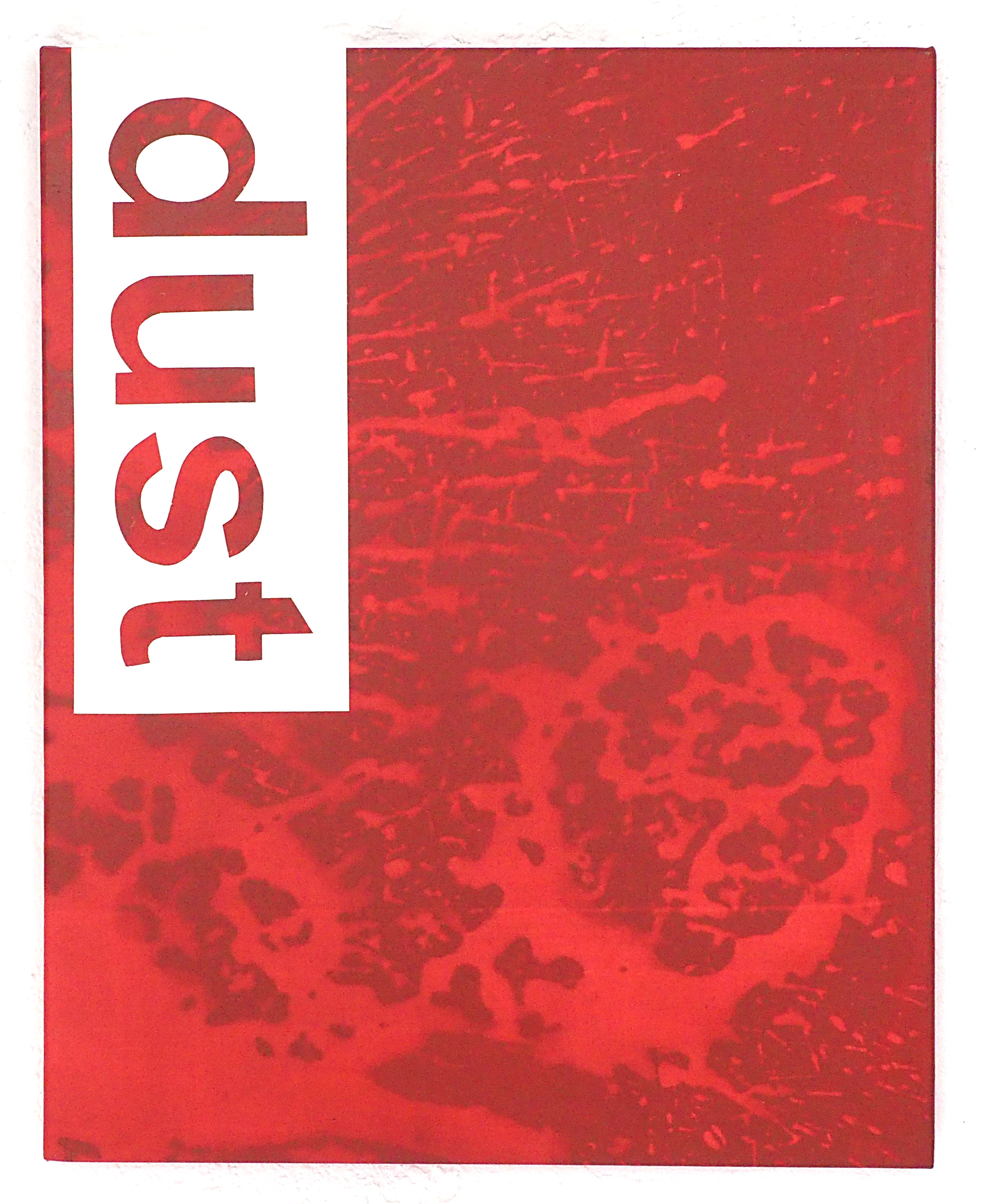 Swann Ronne - Painting - Dust [red]