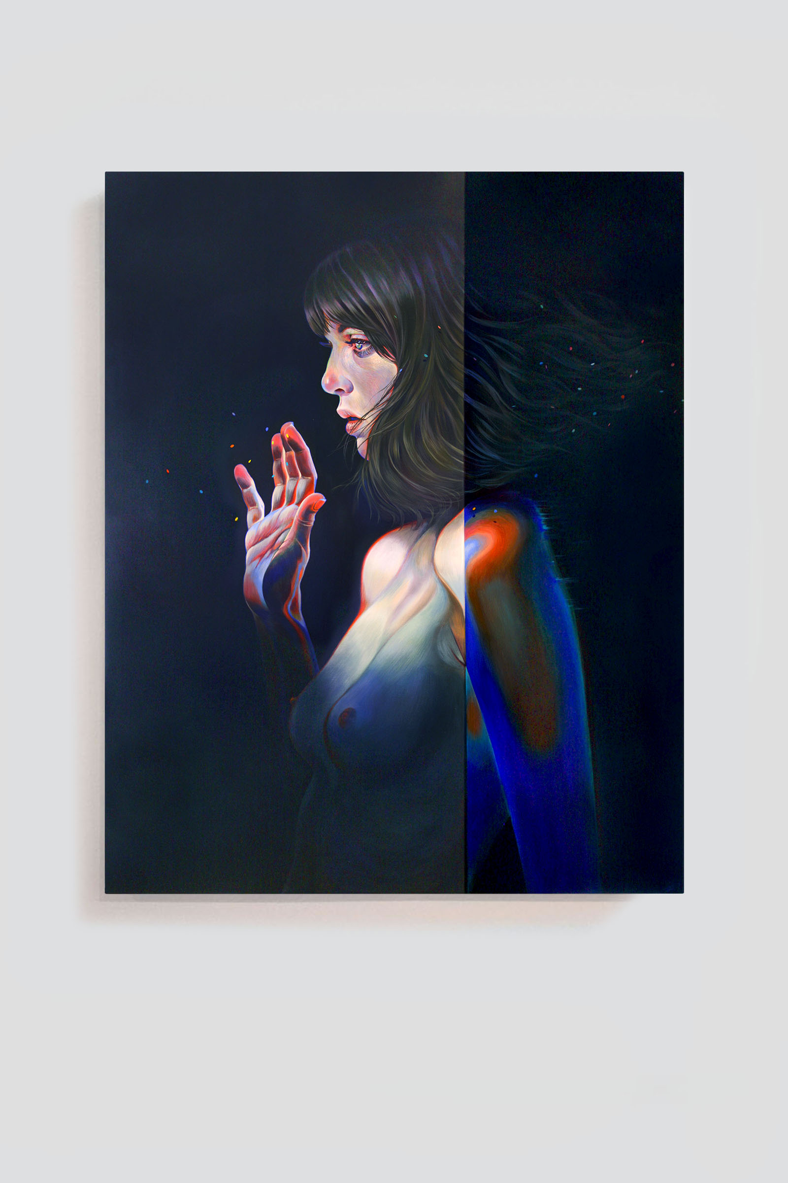 Solanum 2015