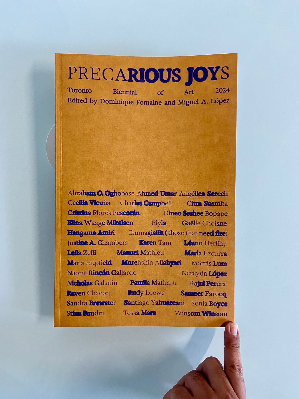 "Precarious Joys", Toronto Biennial of Art, 2024