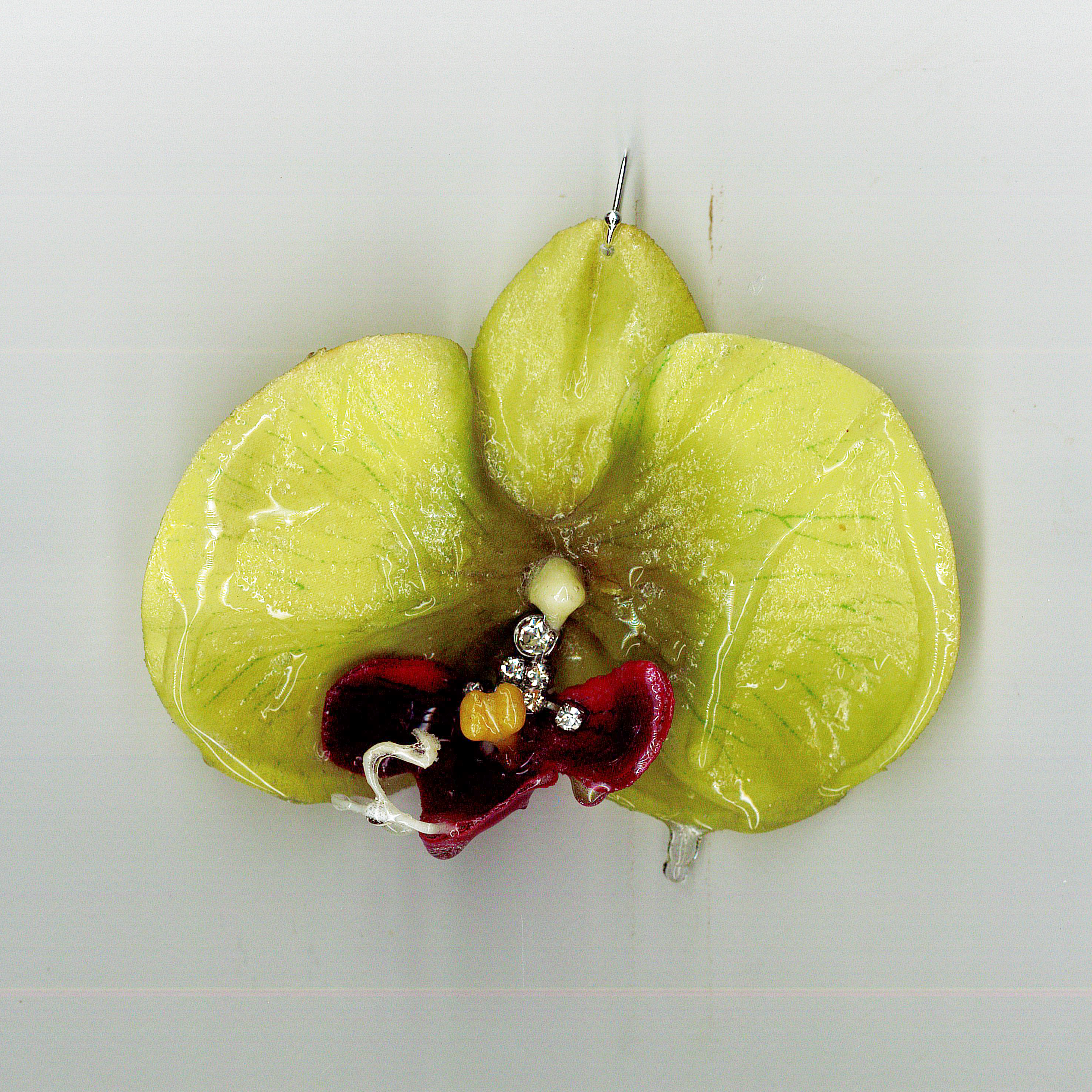 0150-00 WET ORCHID EARRING | large size available on https://www.caycollective.se/collections/mjolkshake