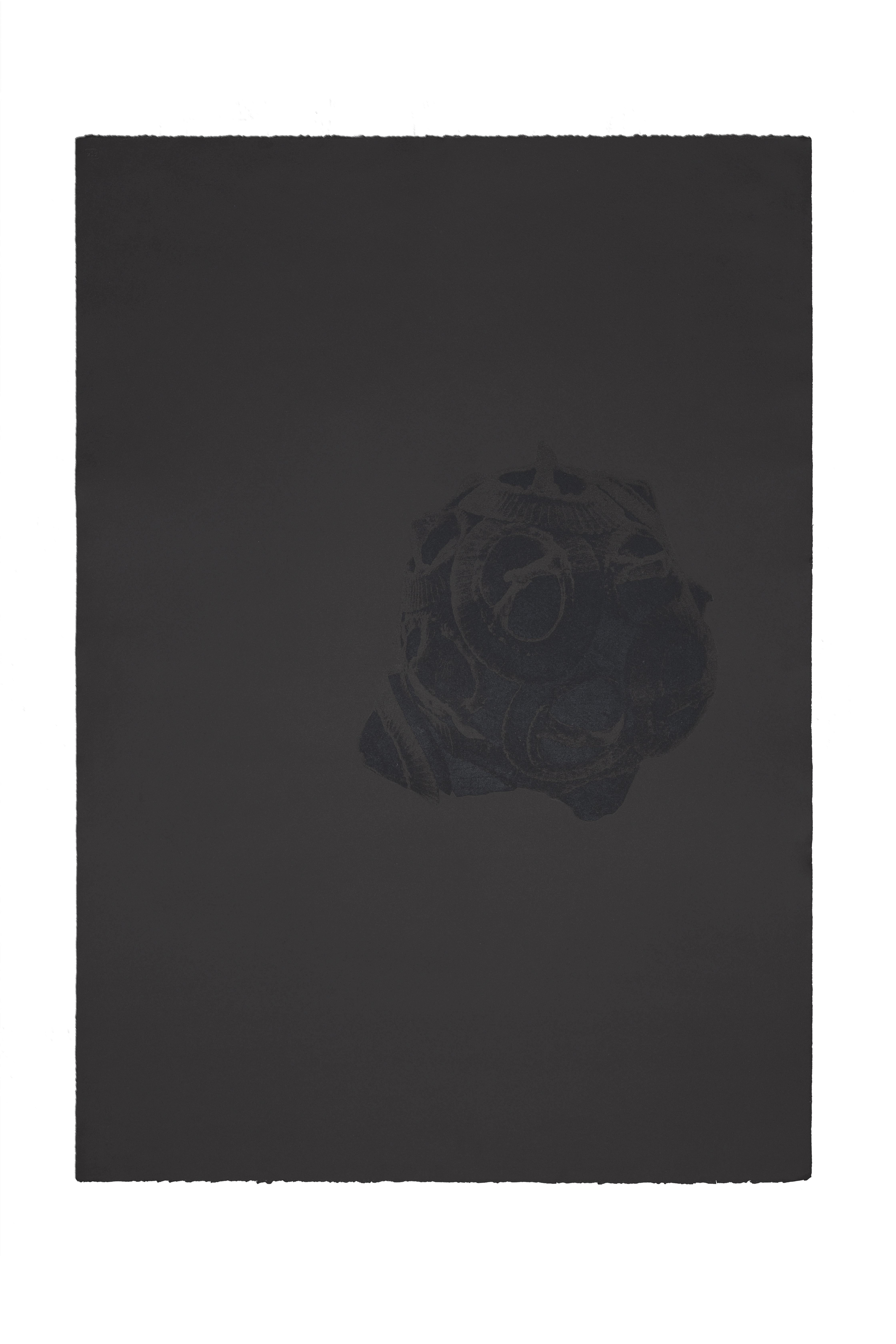 Barbara De Ponti, Clay Time Code_Pleistocene Plankton_B2, 2022, black intaglio ink and blue caly on Arches Velin Blanch paper, 104 x 75 cm,&nbsp;ph. Giulio Boem