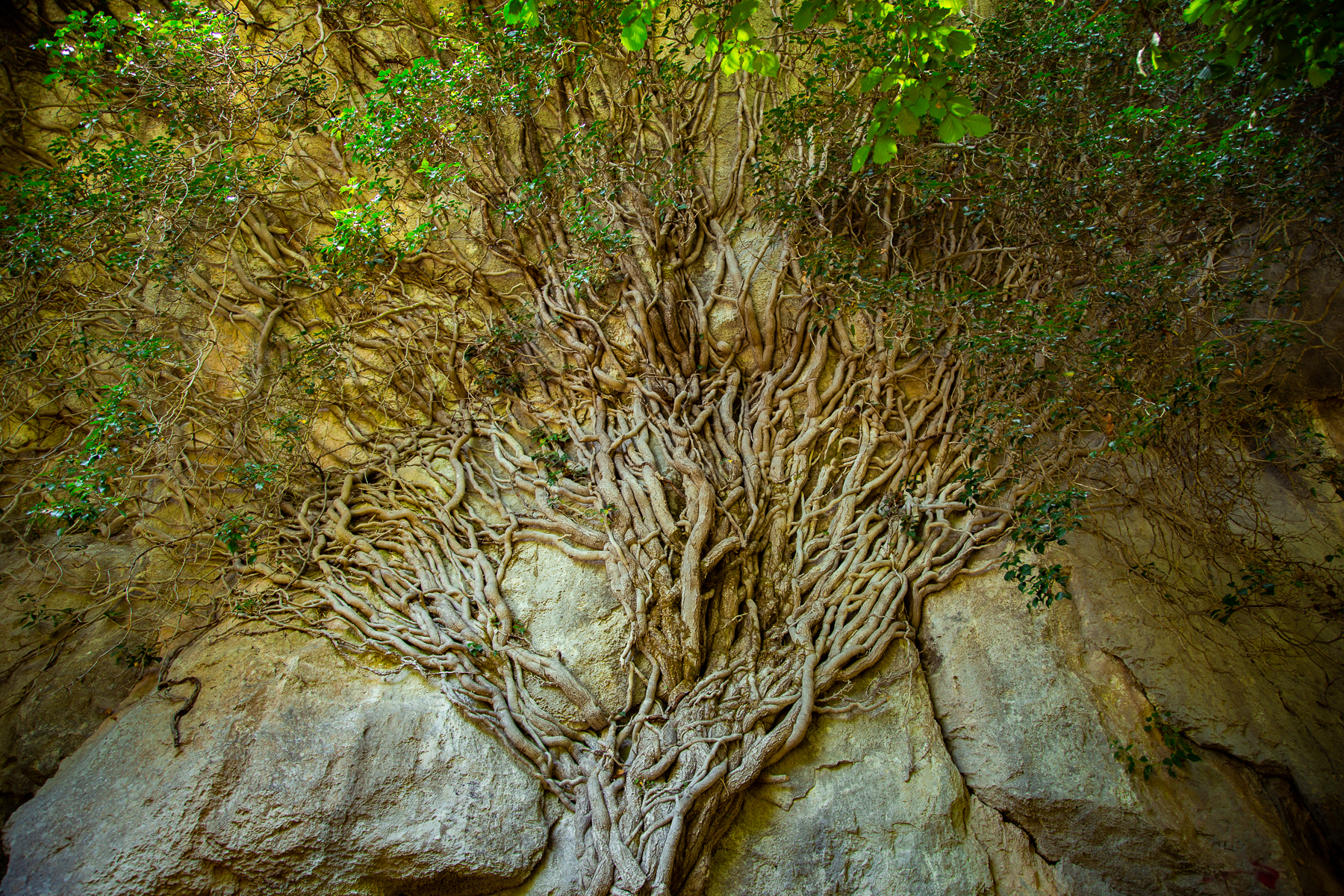 Zagori, Greece, 2021