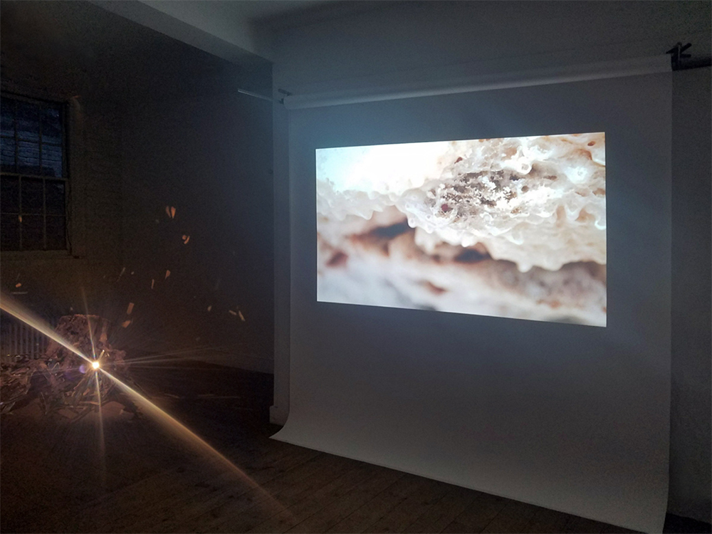 Absence Projects 01, Brooklyn