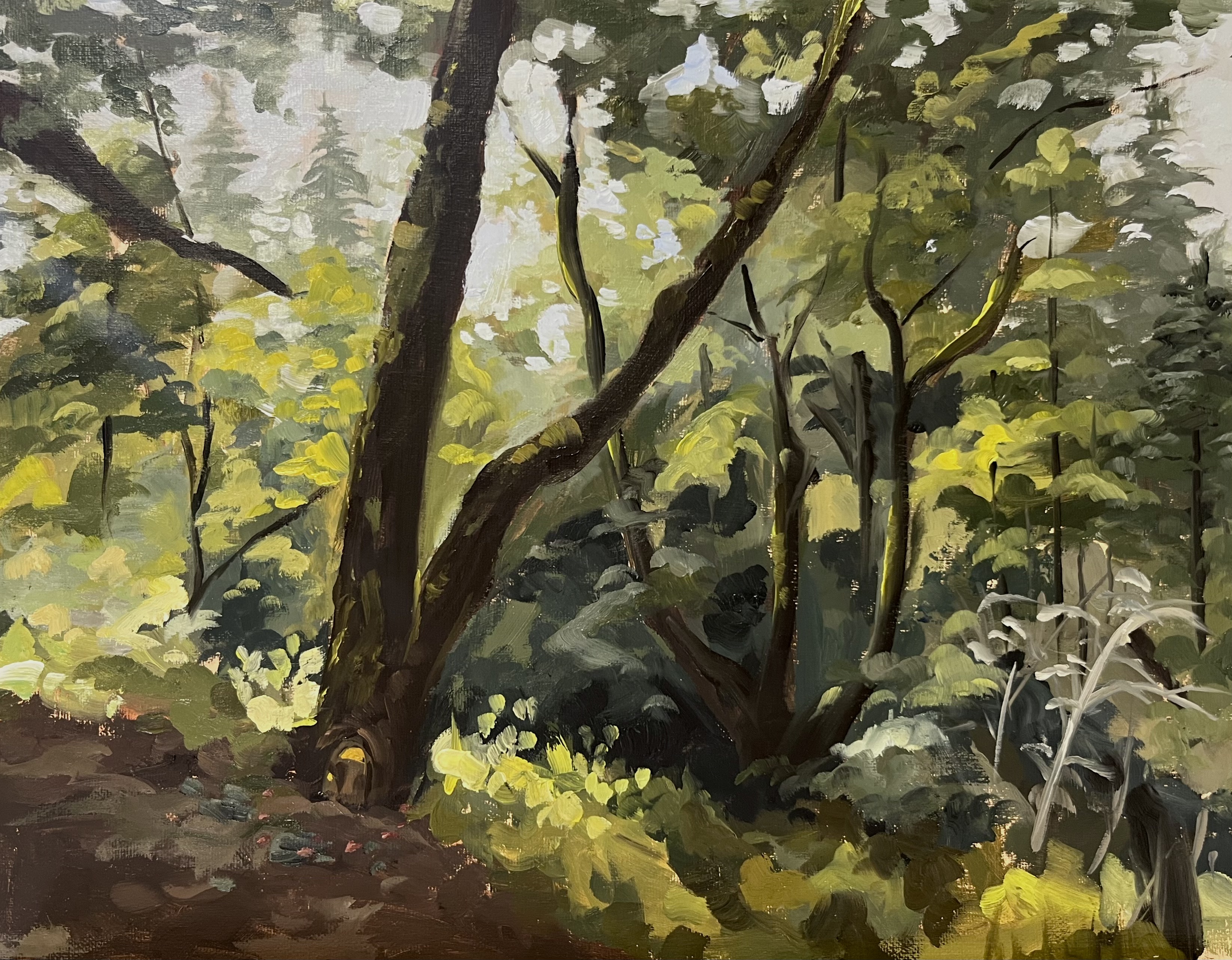 Landscape, Oil, 2024