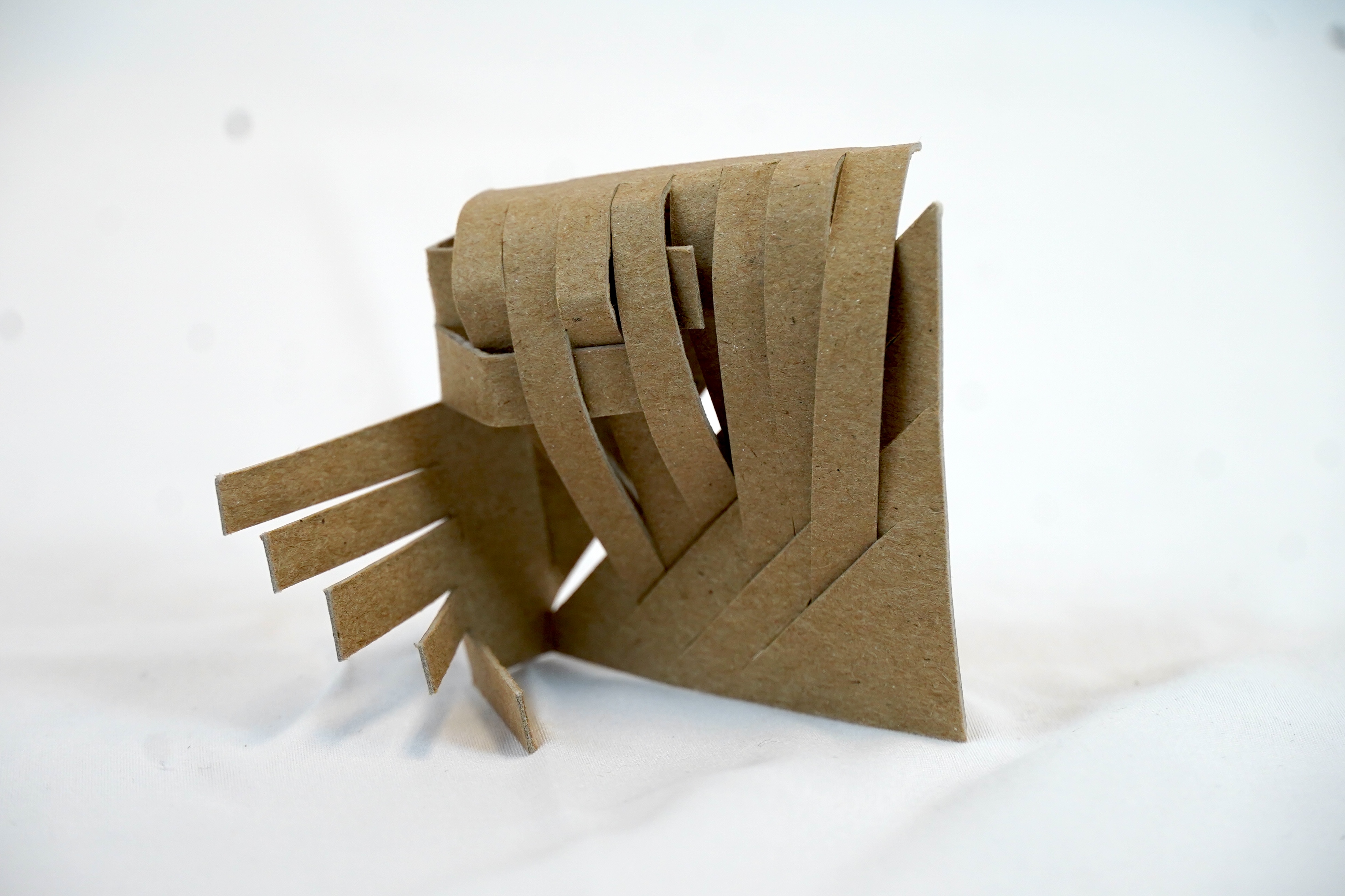 An image showcasing a chipboard form model.