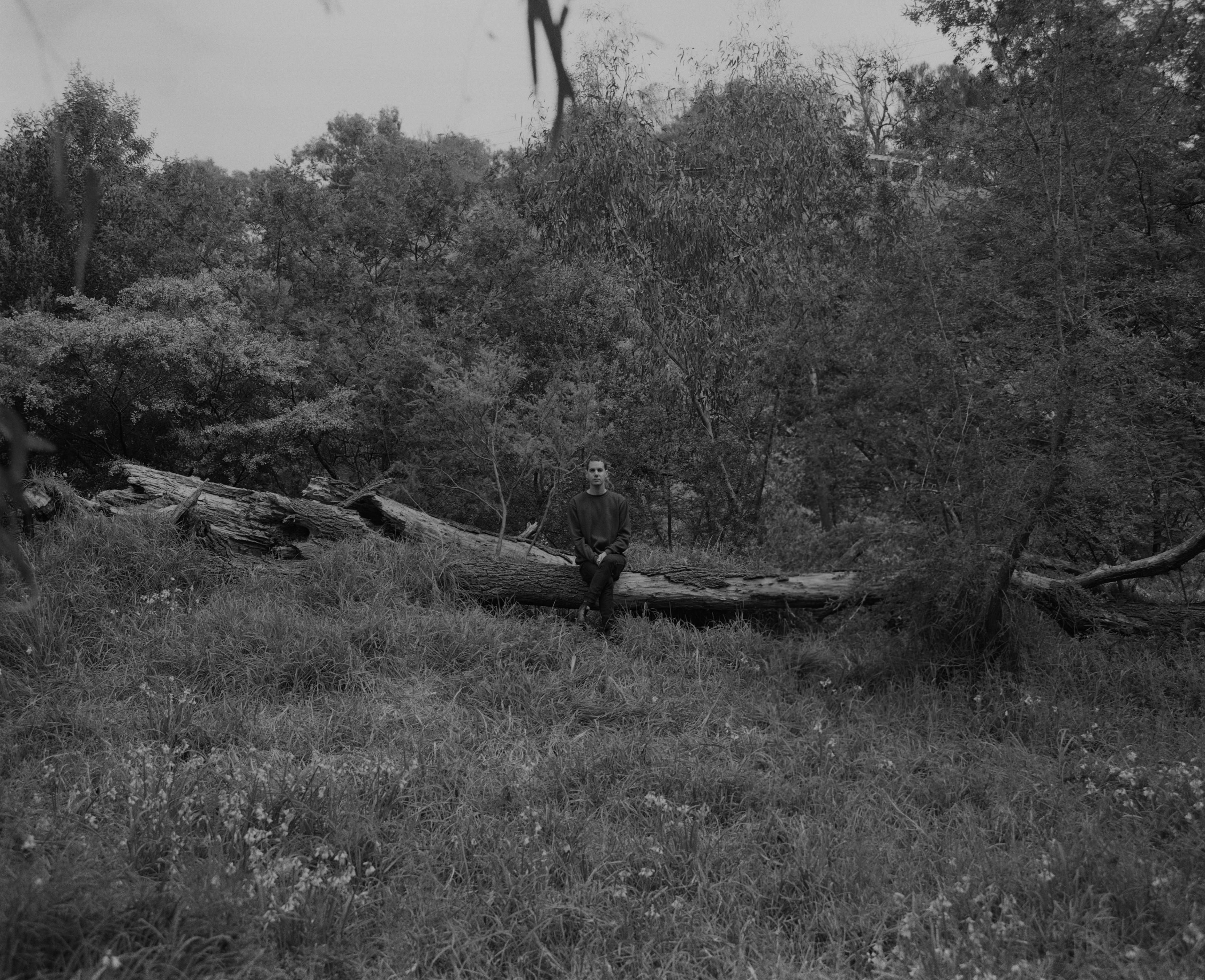 Josh Cohen, Composer