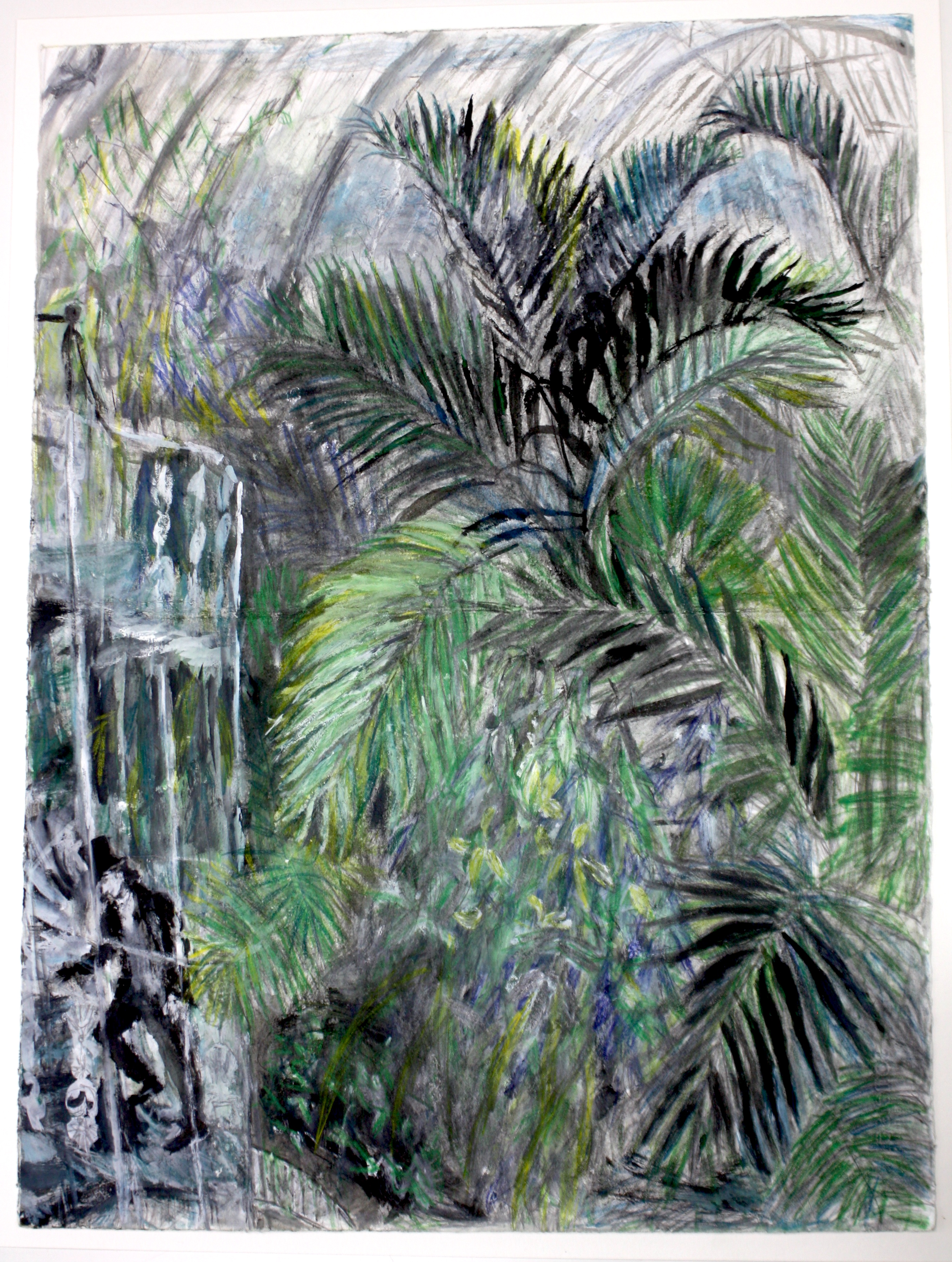 Palmist, Kew, drawing