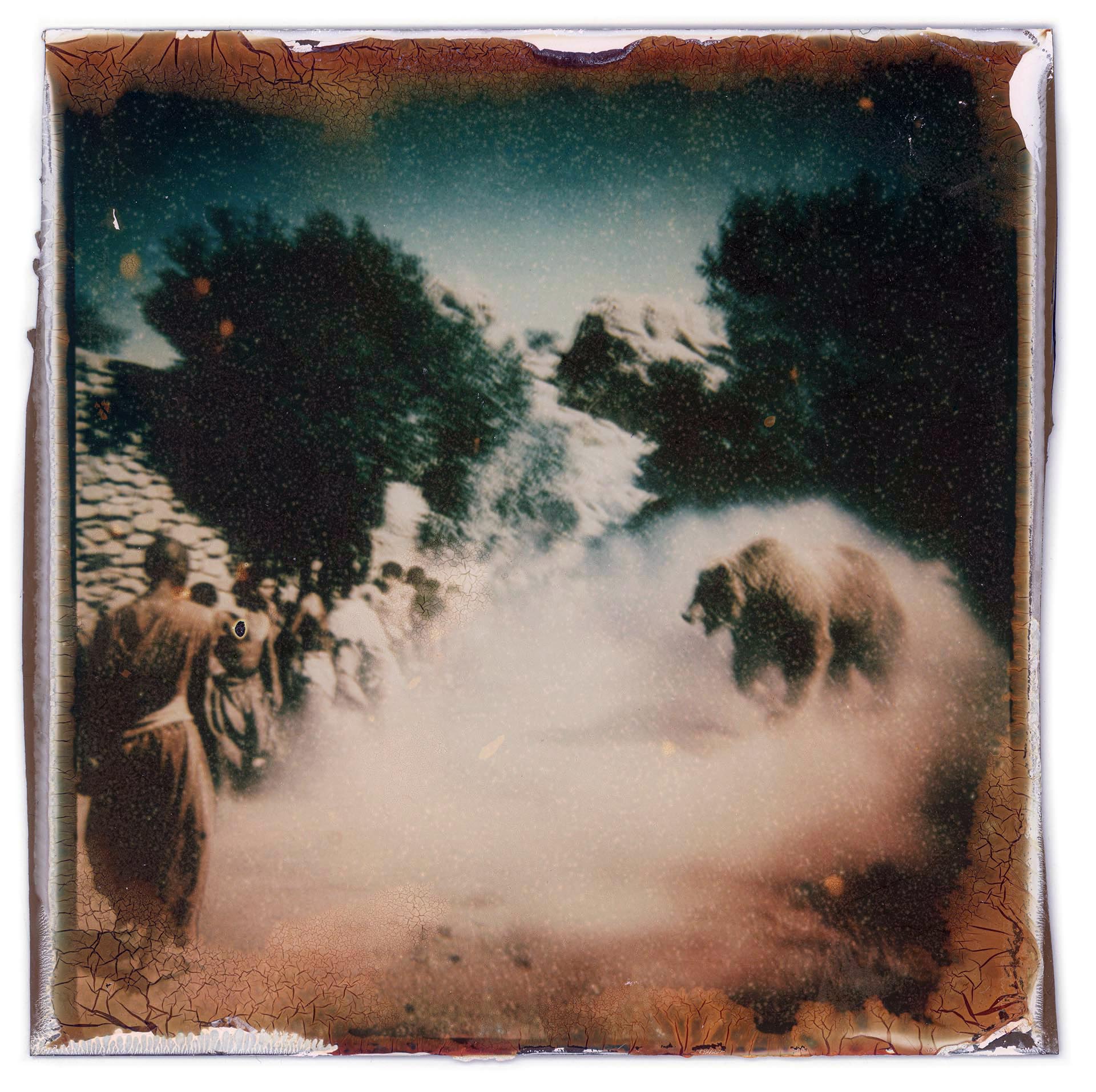 Elisha Curses Boys and Bears Maul Them