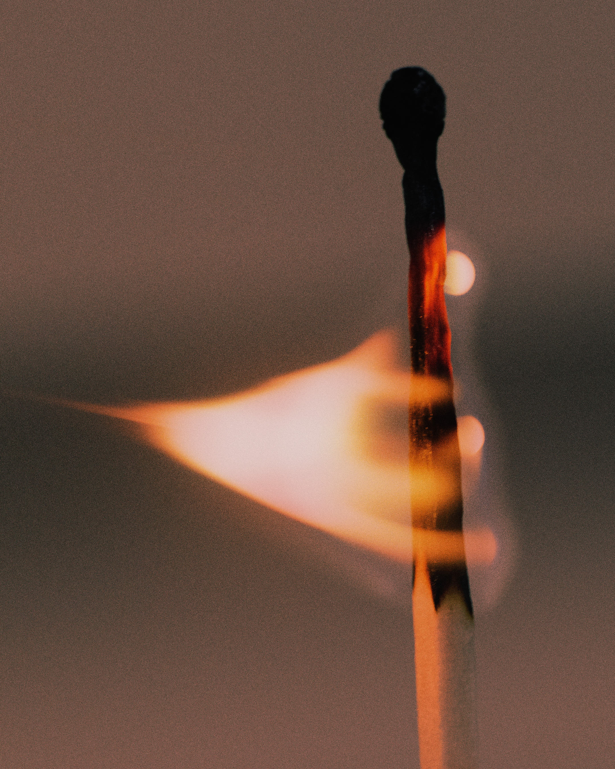 MAISON SAINT-GERVAIS, 2025