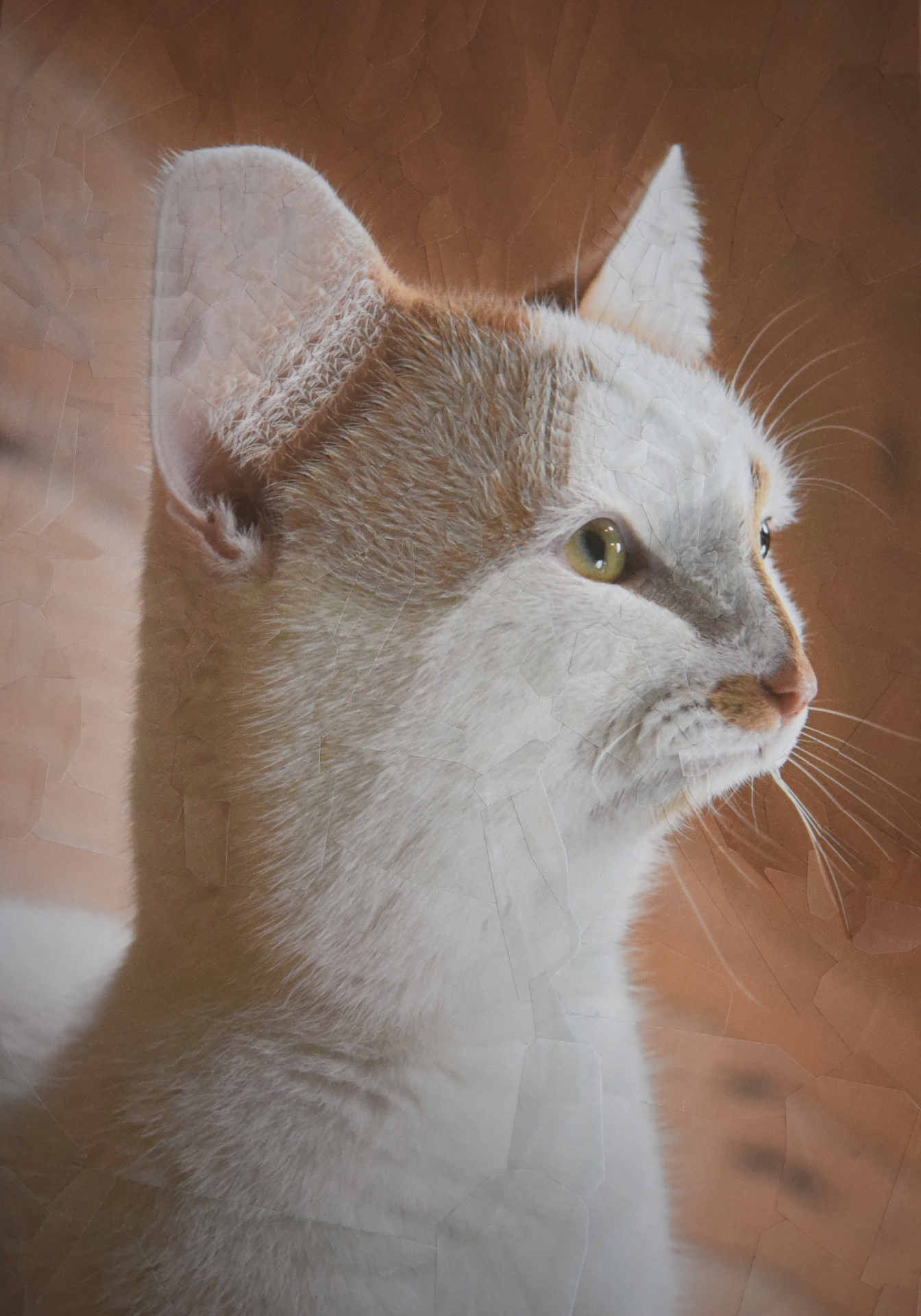 Charlie XV, 2019, 8.2 x 11.6 inches