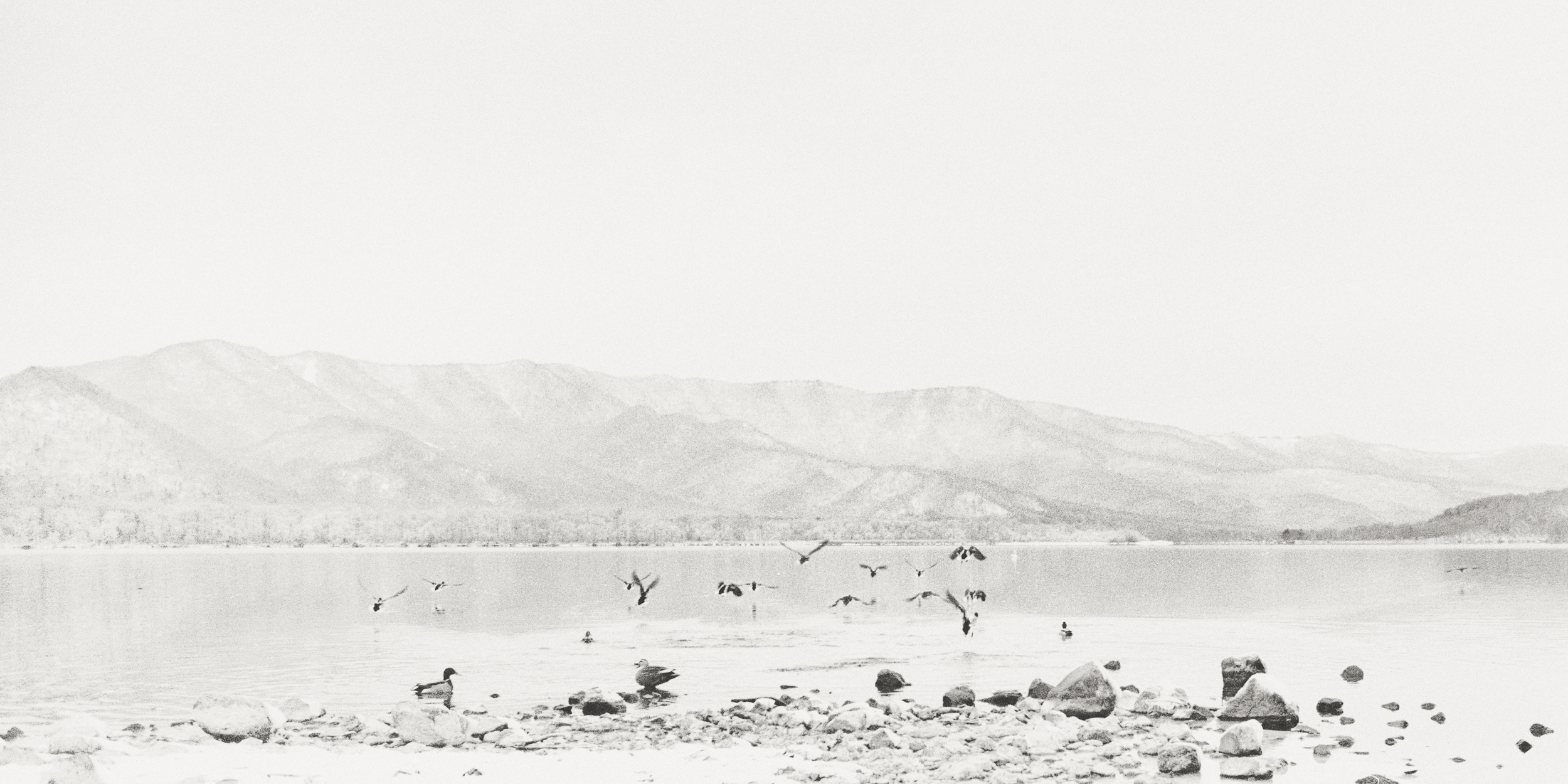 Away | Silver gelatin print | 11x22cm