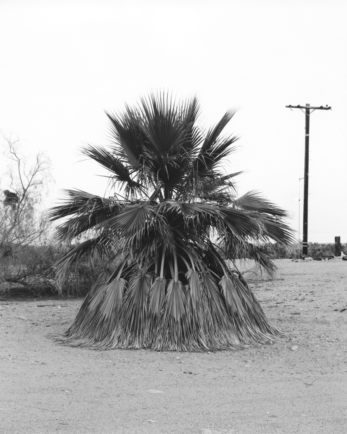 Untitled III. Silver Gelatin Fiber Print 2016