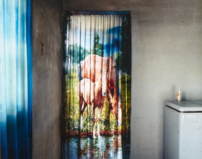 BOOK REVIEWOn Alessandra Sanguinetti’s “The Adventures of Guille and Belinda and The Illusion of an Everlasting Summer"