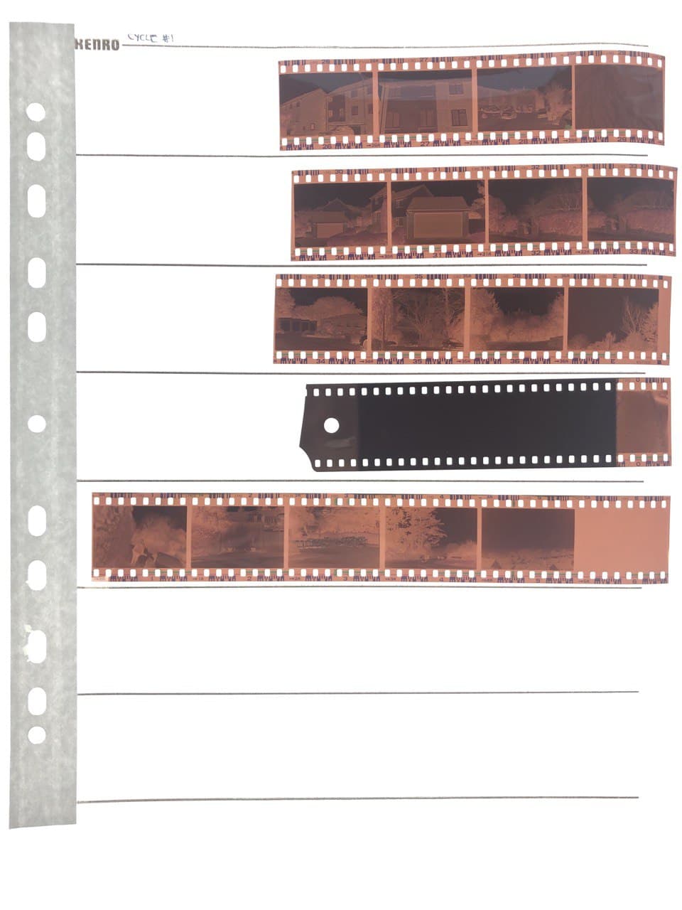 Visual Perception Test: Cycle #1 Contact Sheet