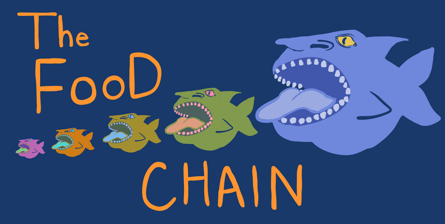 The Food Chain