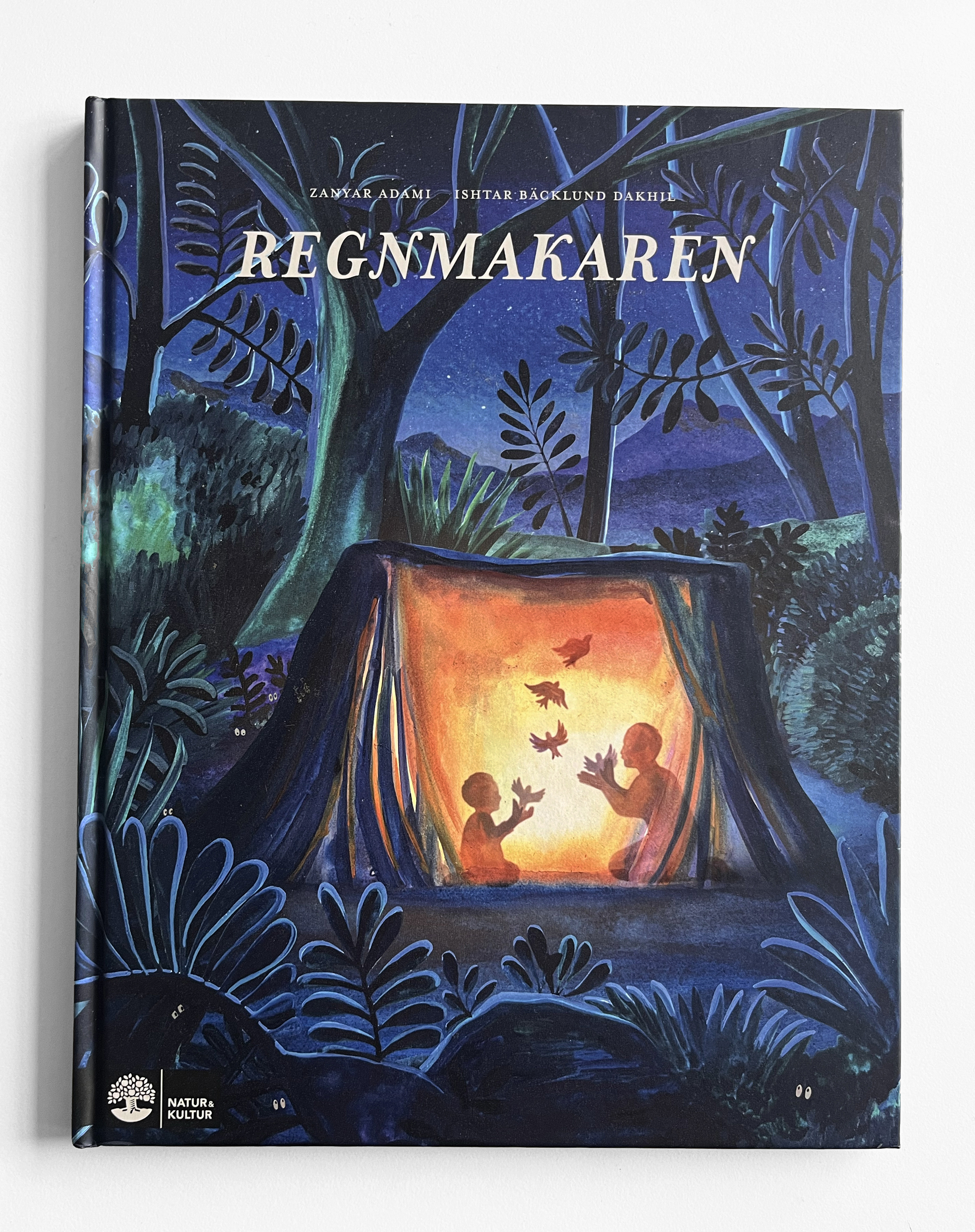 Regnmakaren / Rainmaker Picturebook