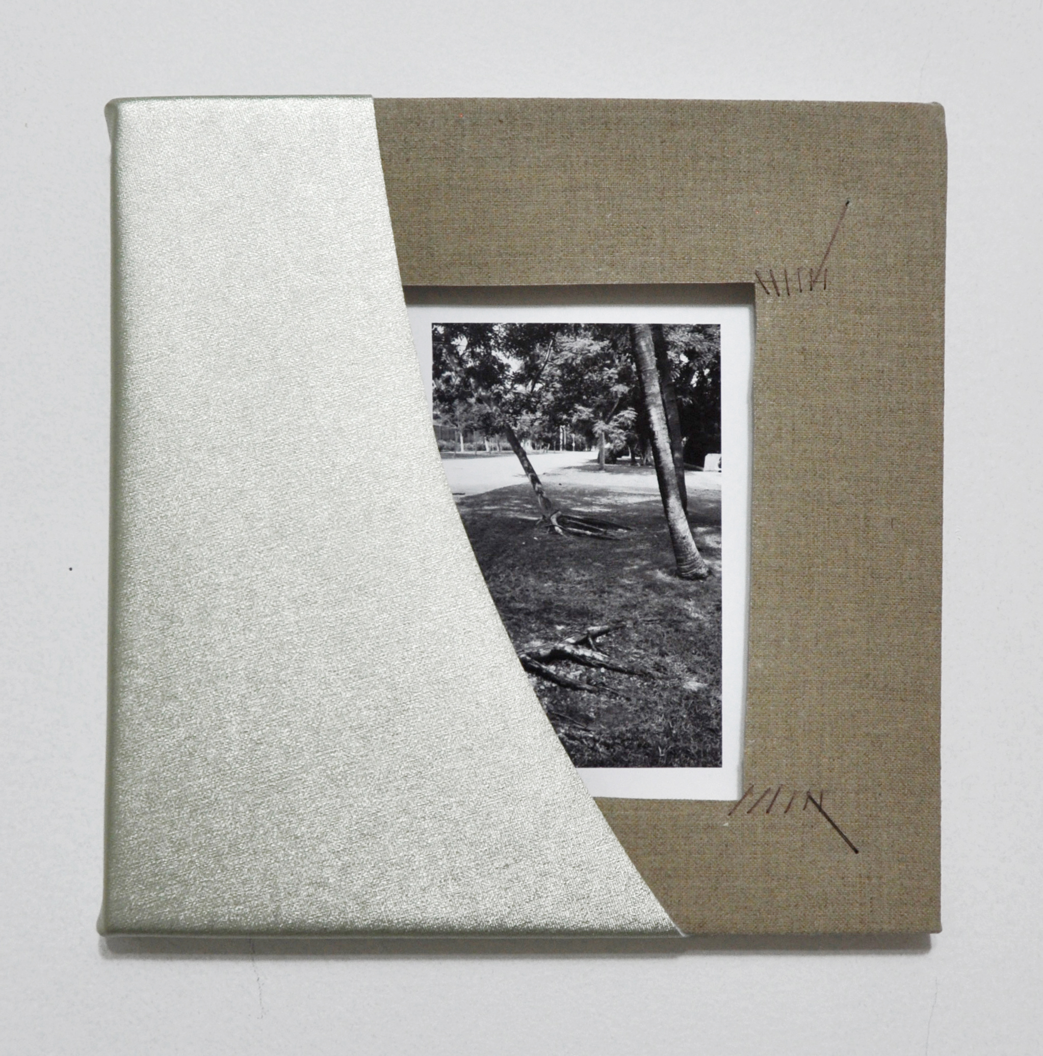 Roots, mounted pigment print, polyester, linen, and thread, 10 x 10 inches