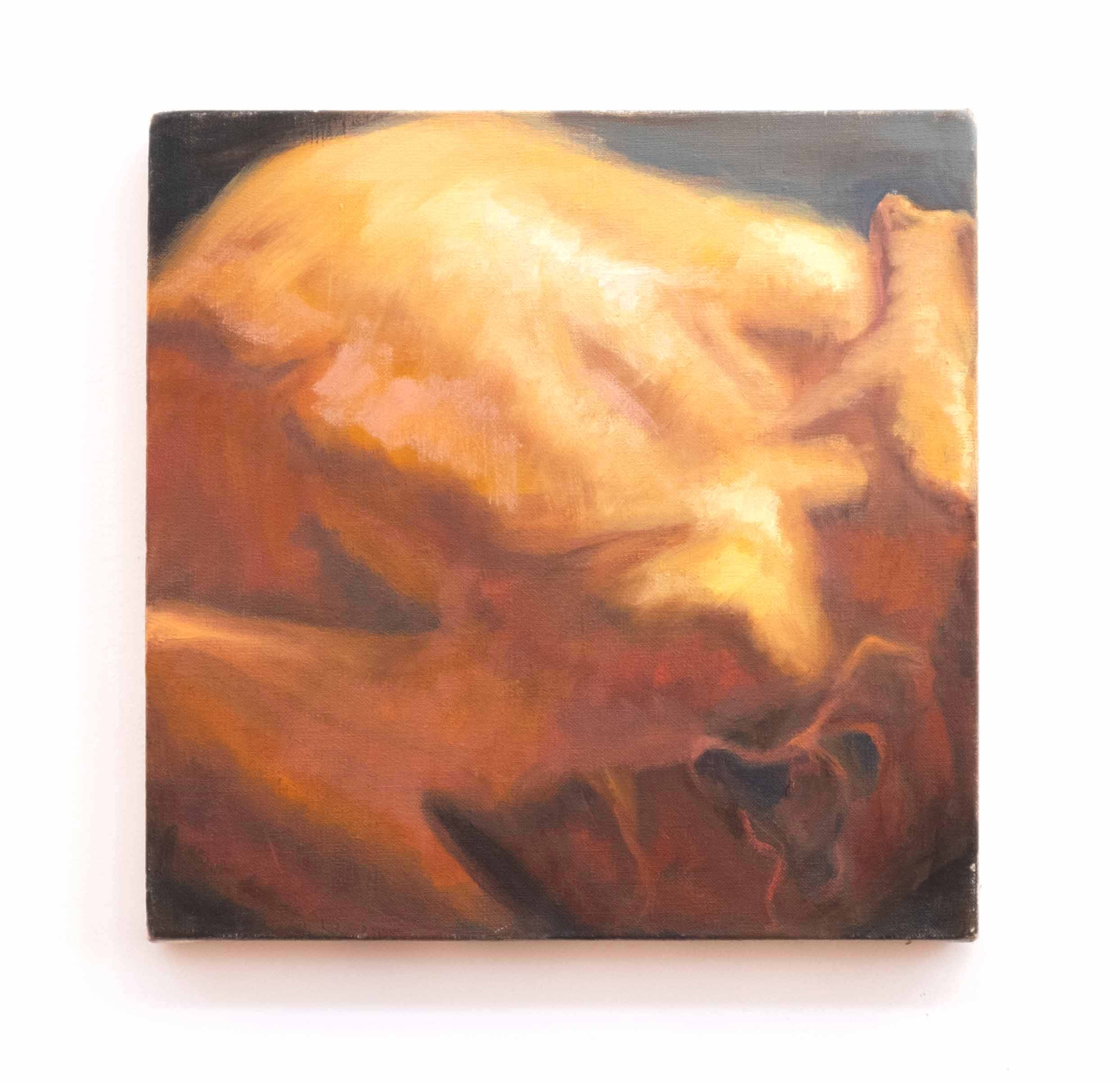 Untitled (from the Chicken Series), oil on linen, 12 x 12 inches, 2014