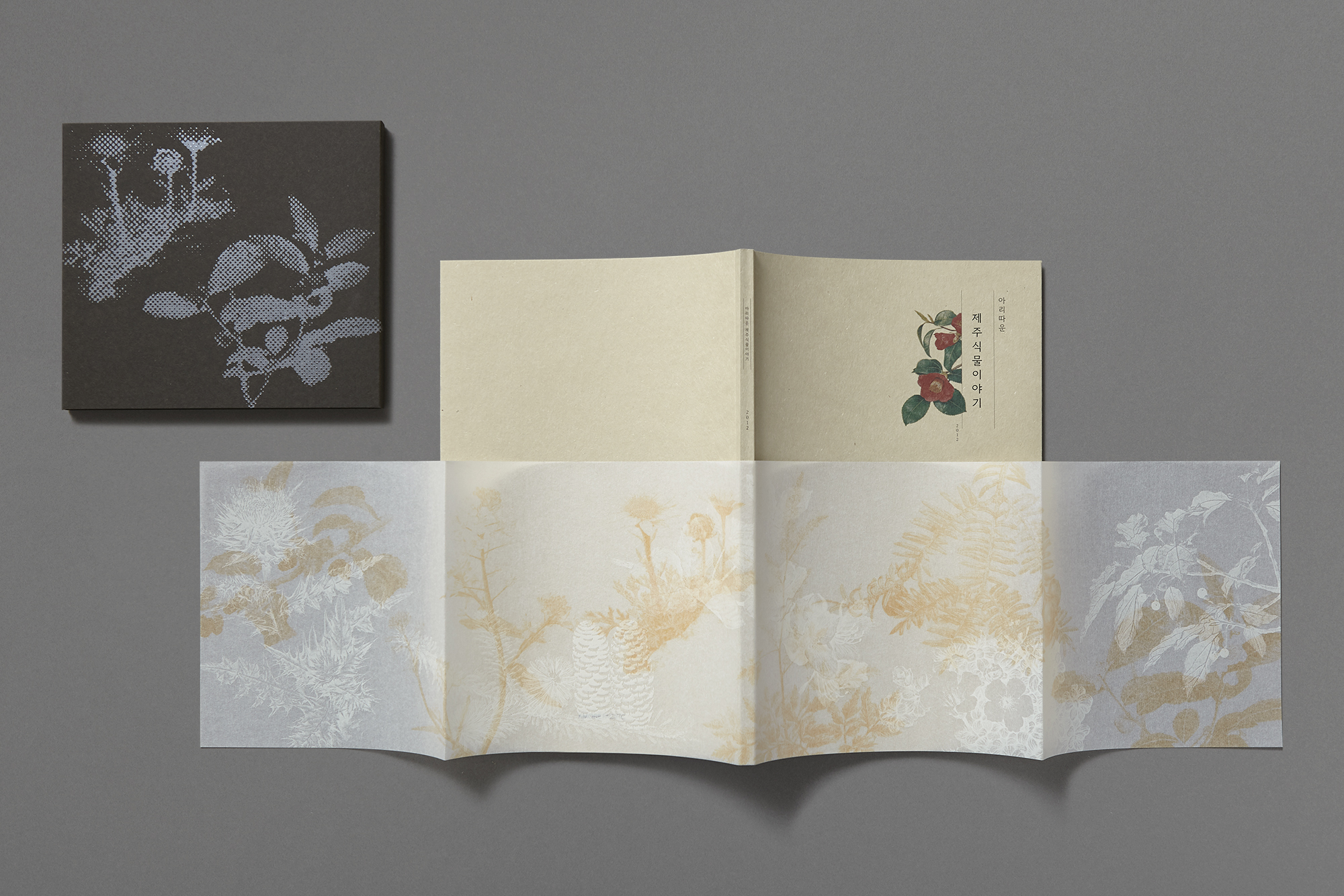 beautiful story of native plants in jeju — generalgraphics