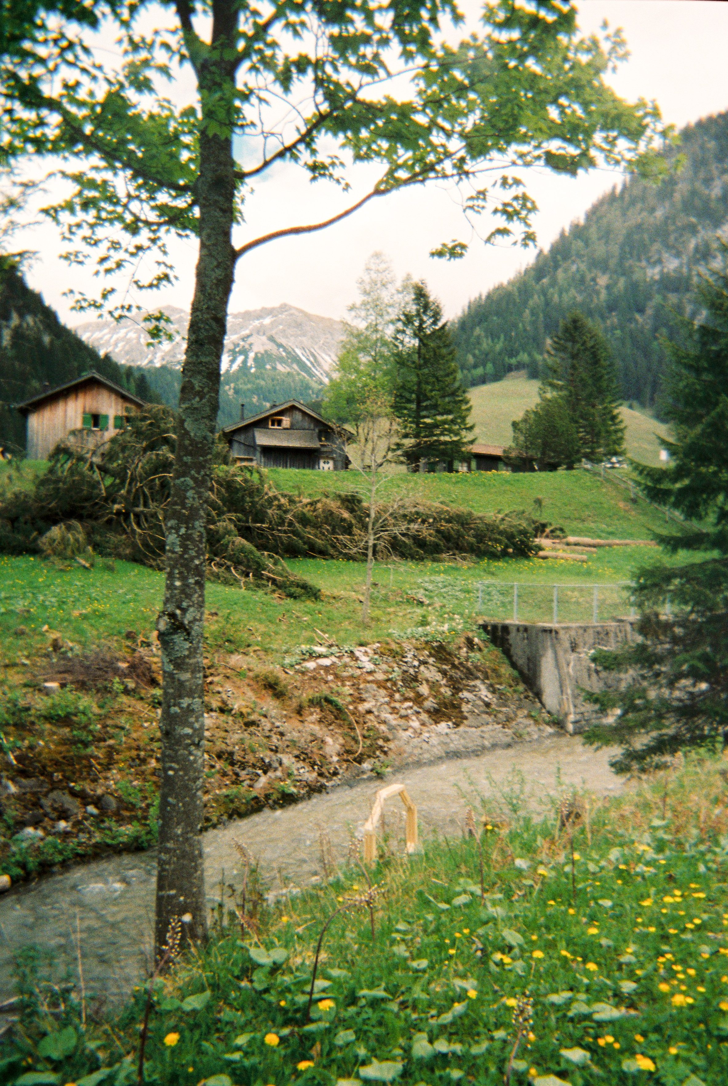 Photographs taken while walking on THE LINE in Liechtenstein by Studio Venice