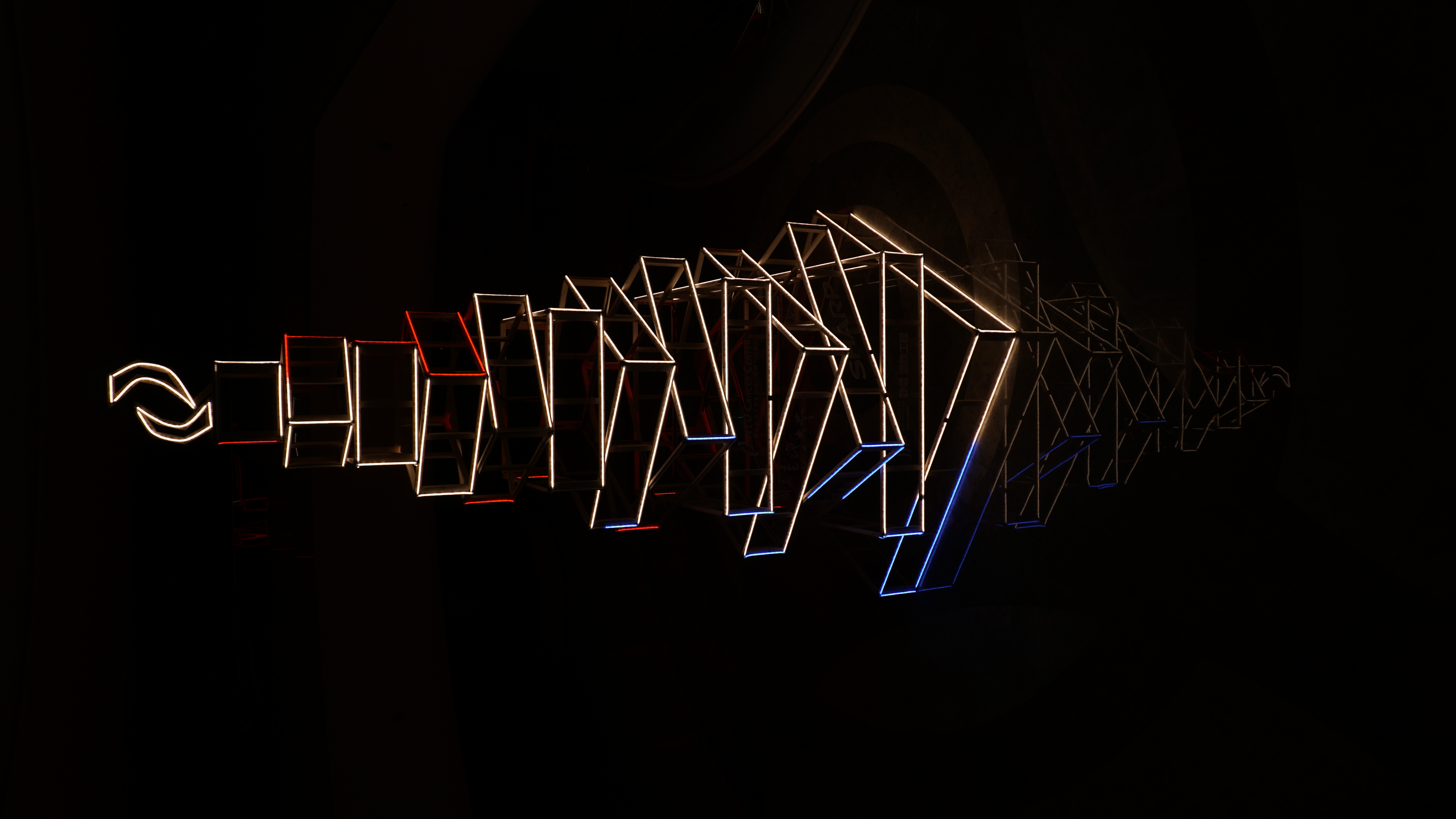 ↑　2018_ The Tree of Life