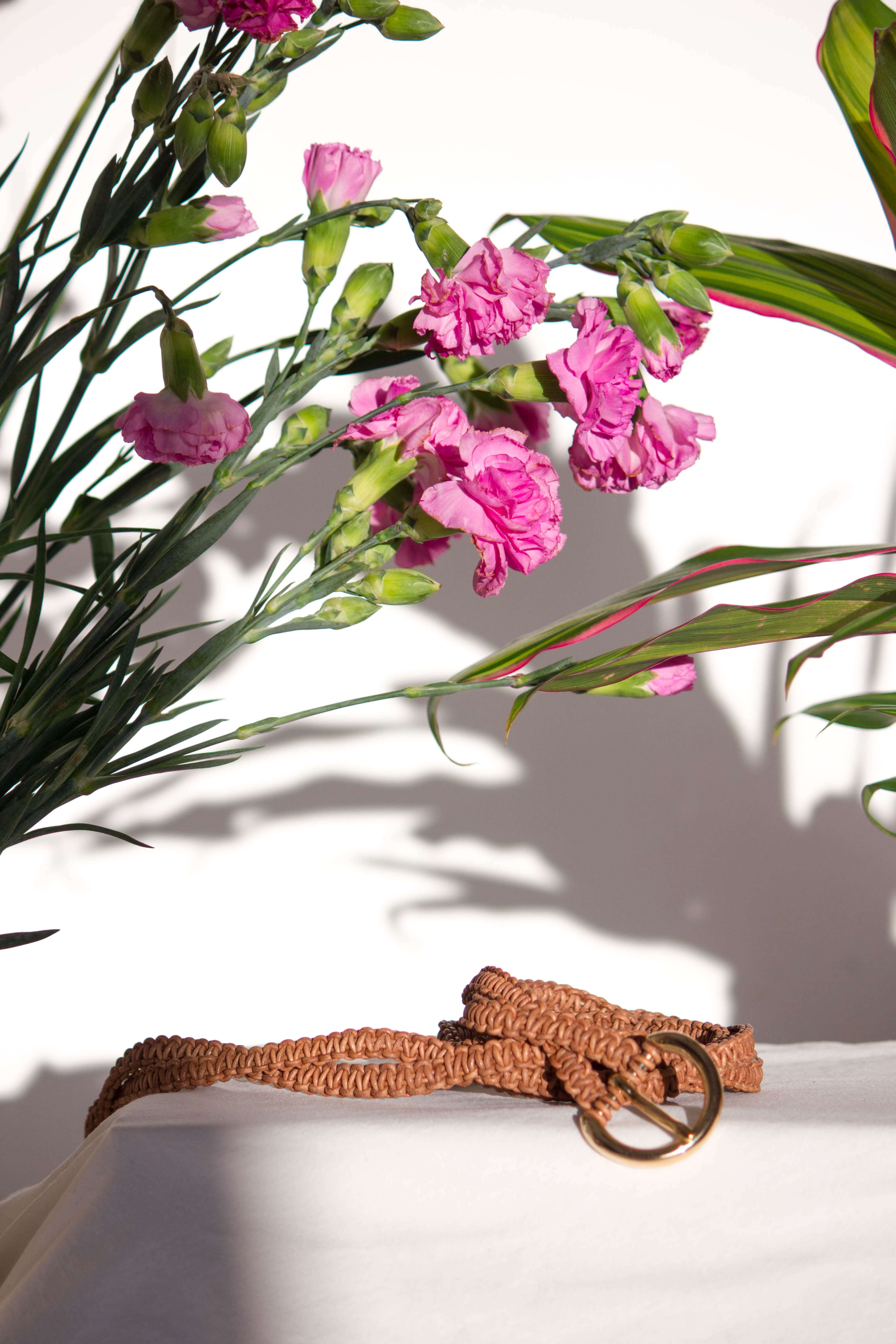 MALENA BELT [ habana ] €80