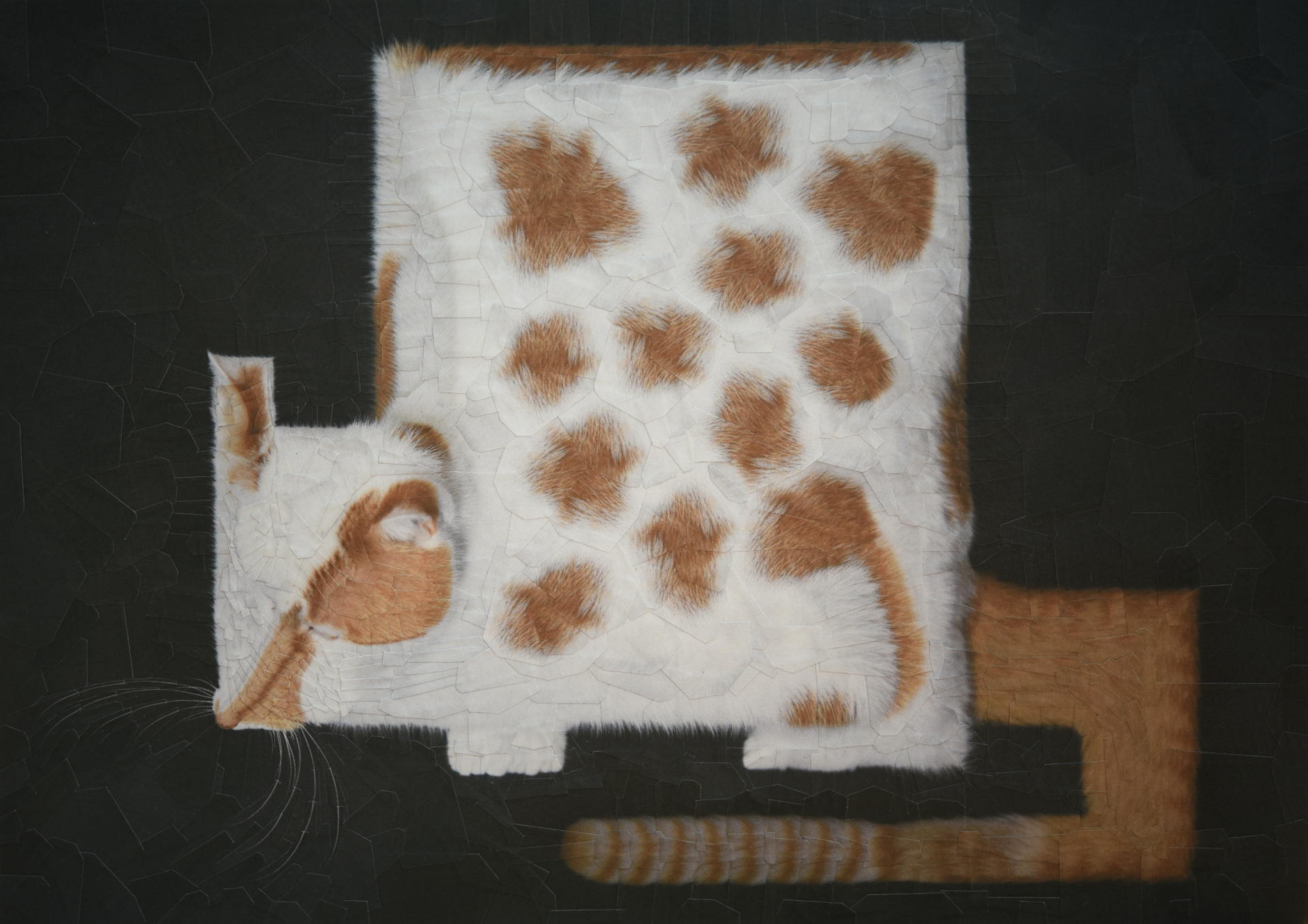 Charlie 36, 2021, 11.6 x 8.2 inches