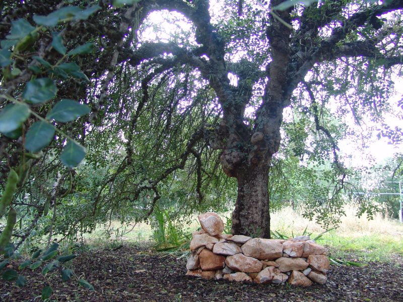 Contemplation Bench by Filomena Almeida