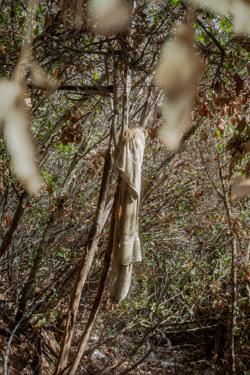 Untitled (for NBC, Cleveland Nat'l Forest), 2021, Archival Inkjet Print, Dimensions Variable