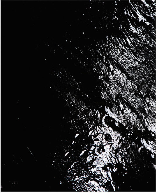 Shu Uemura / Narcisse