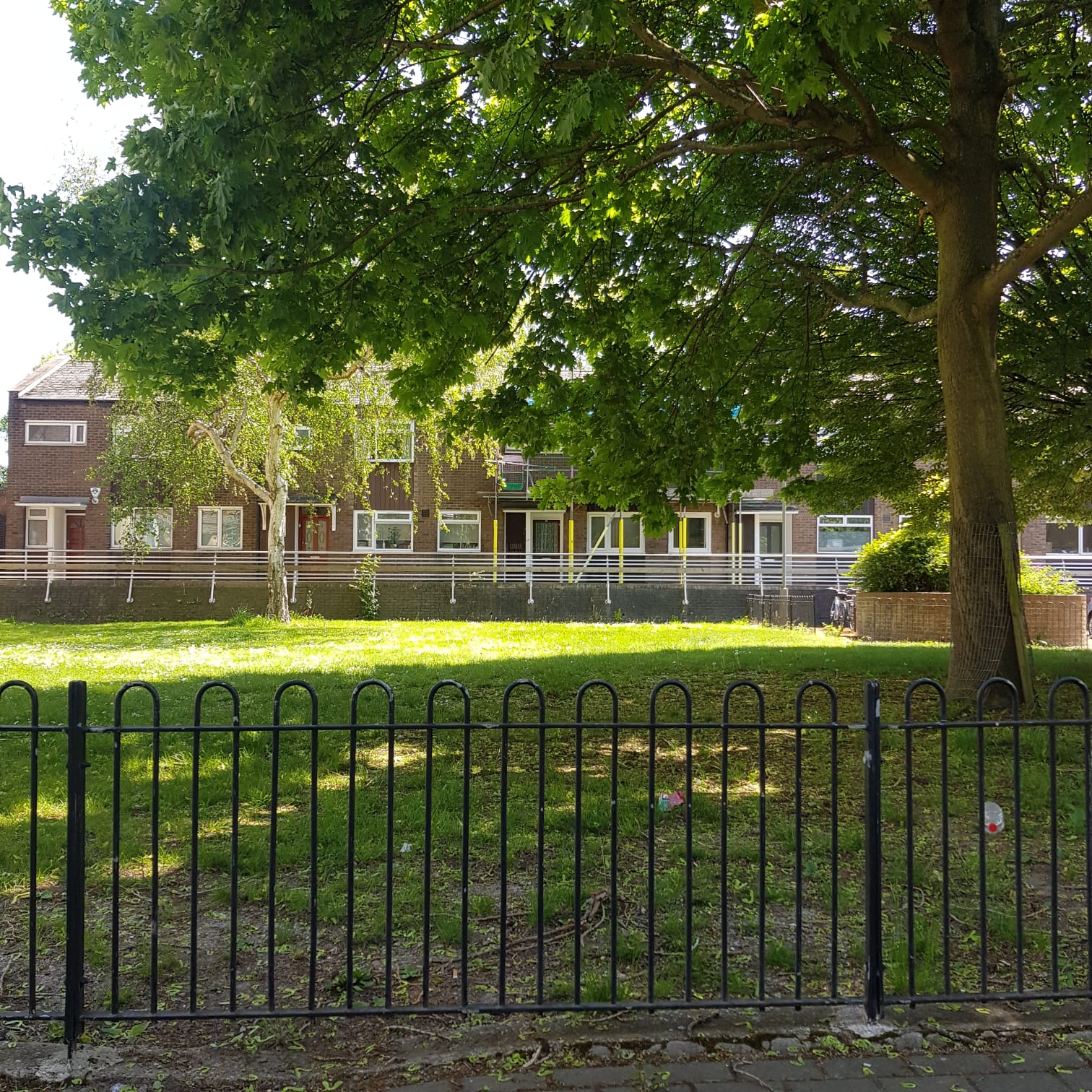 Josephine (2022), photography. 