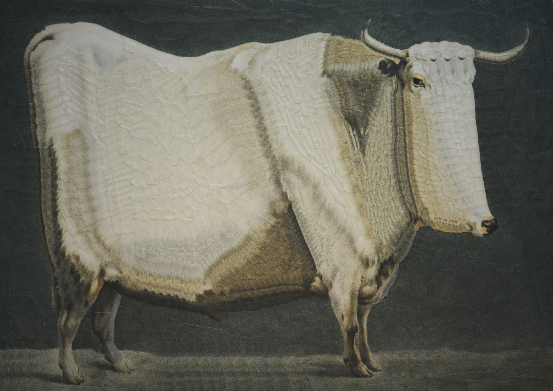 Bull after Jean Bernard, 2021, 11.6 x 8.2 inches