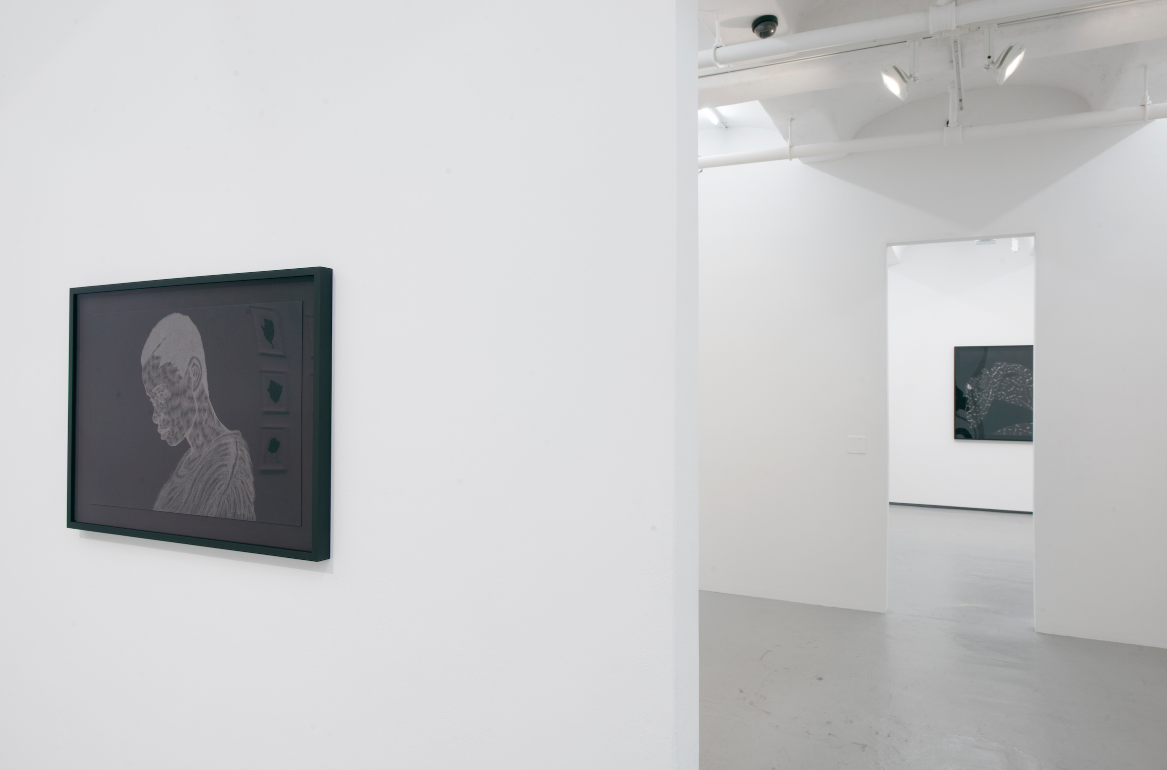 Toyin Ojih Odutola: Of Context and Without, installation view at Jack Shainman Gallery, 11 December 2015 — 30 January 2016. (Photo Courtesy of Jack Shainman Gallery)